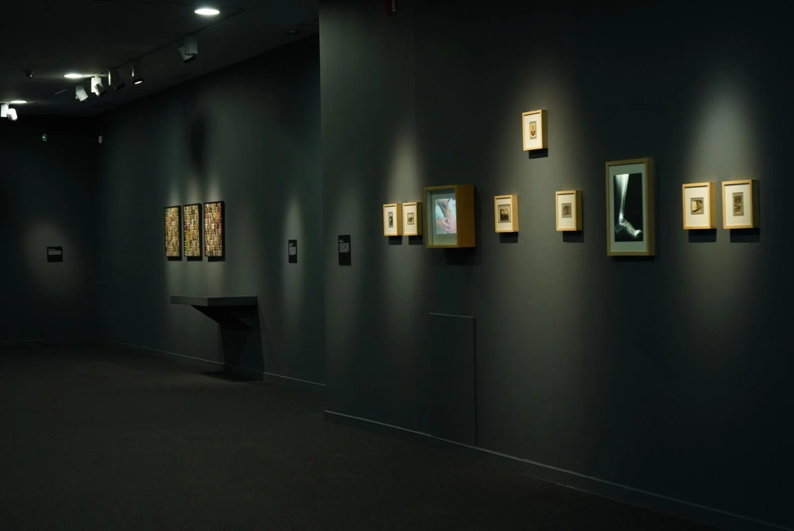 WhatsApp Image 2024-09-13 at 11.04.38(4).jpeg