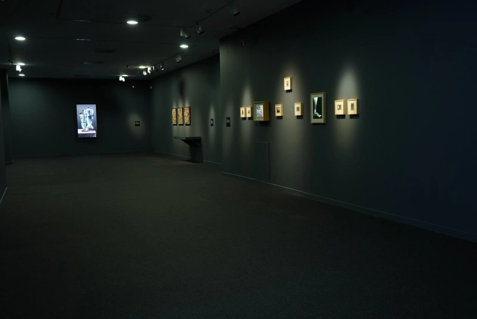 WhatsApp Image 2024-09-13 at 11.04.39.jpeg