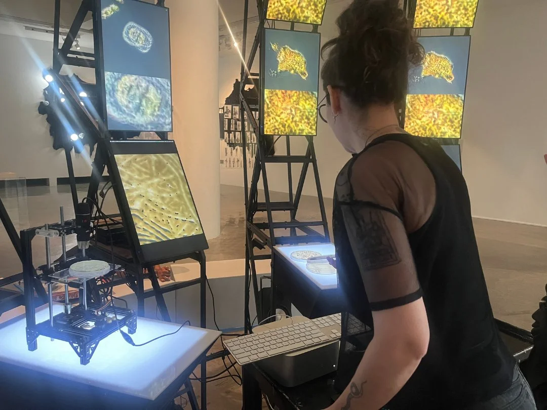 Interspecifics instalando Codex Emergence v.2, 2024