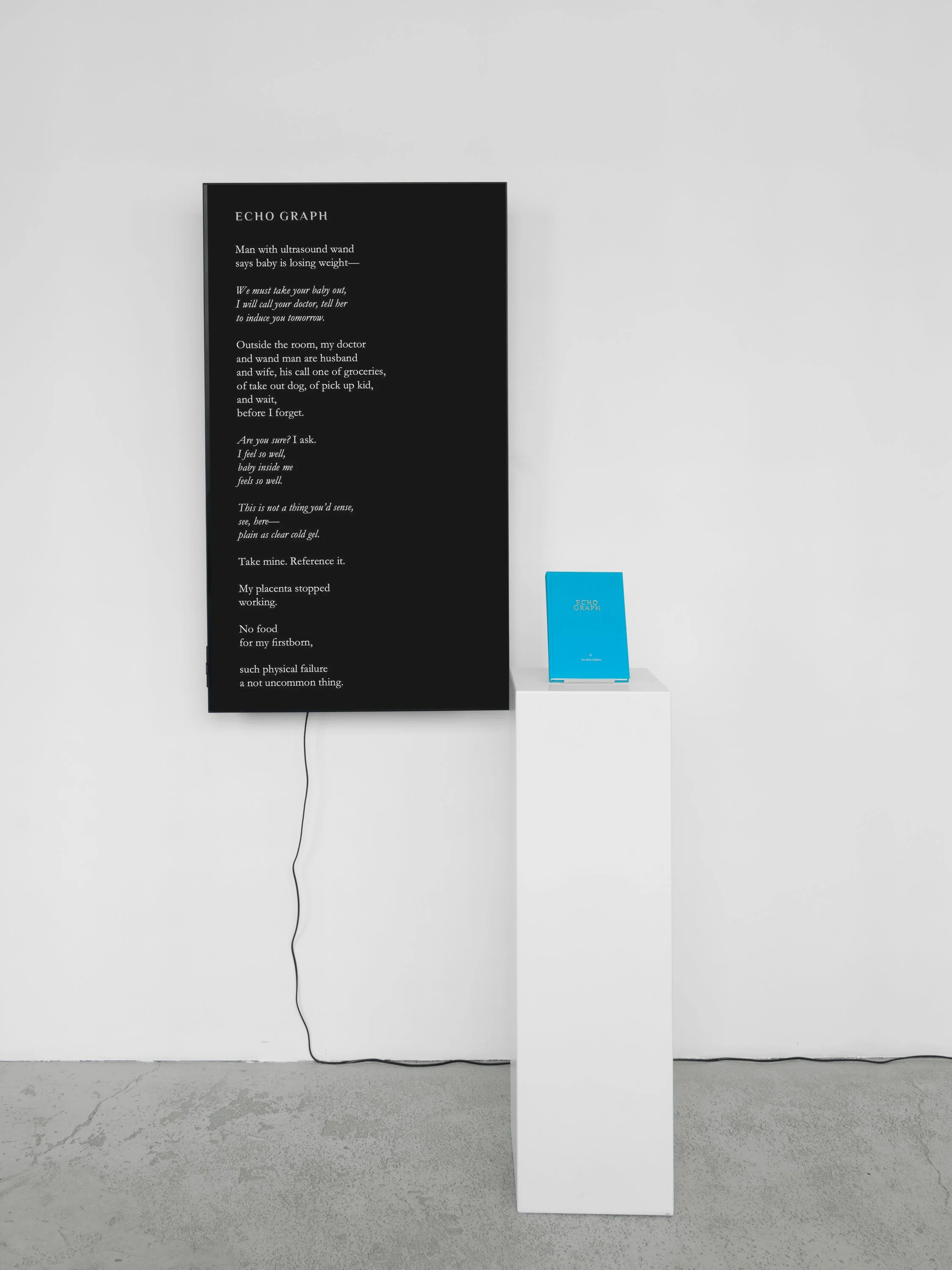 OfficeImpart_AnaMariaCaballero_Echo Graph - Book Sculpture_photo_MarjorieBrunetPlaza_2.jpg