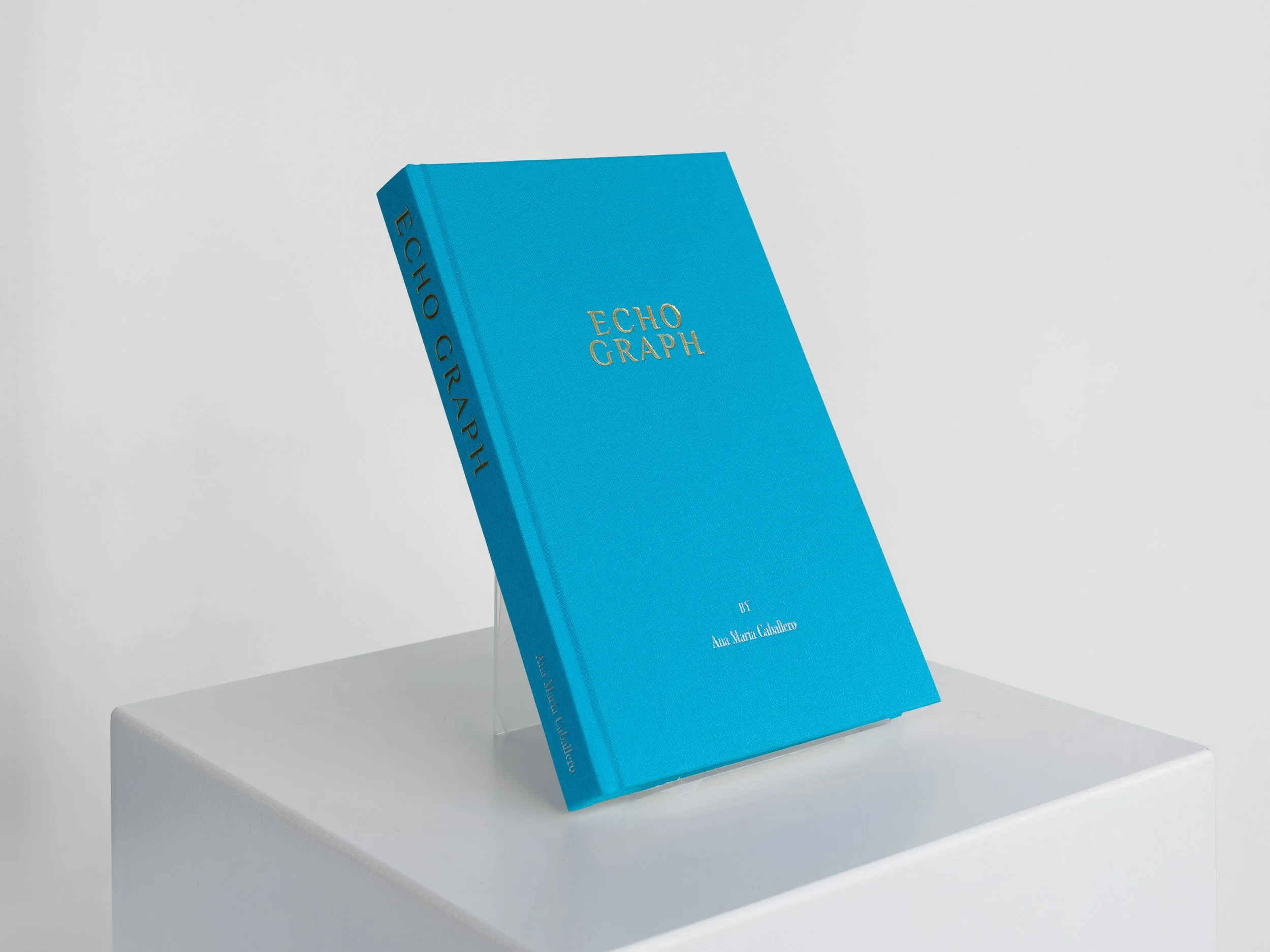 Ana María Caballero, Echo Graph - Book Sculpture, 2025