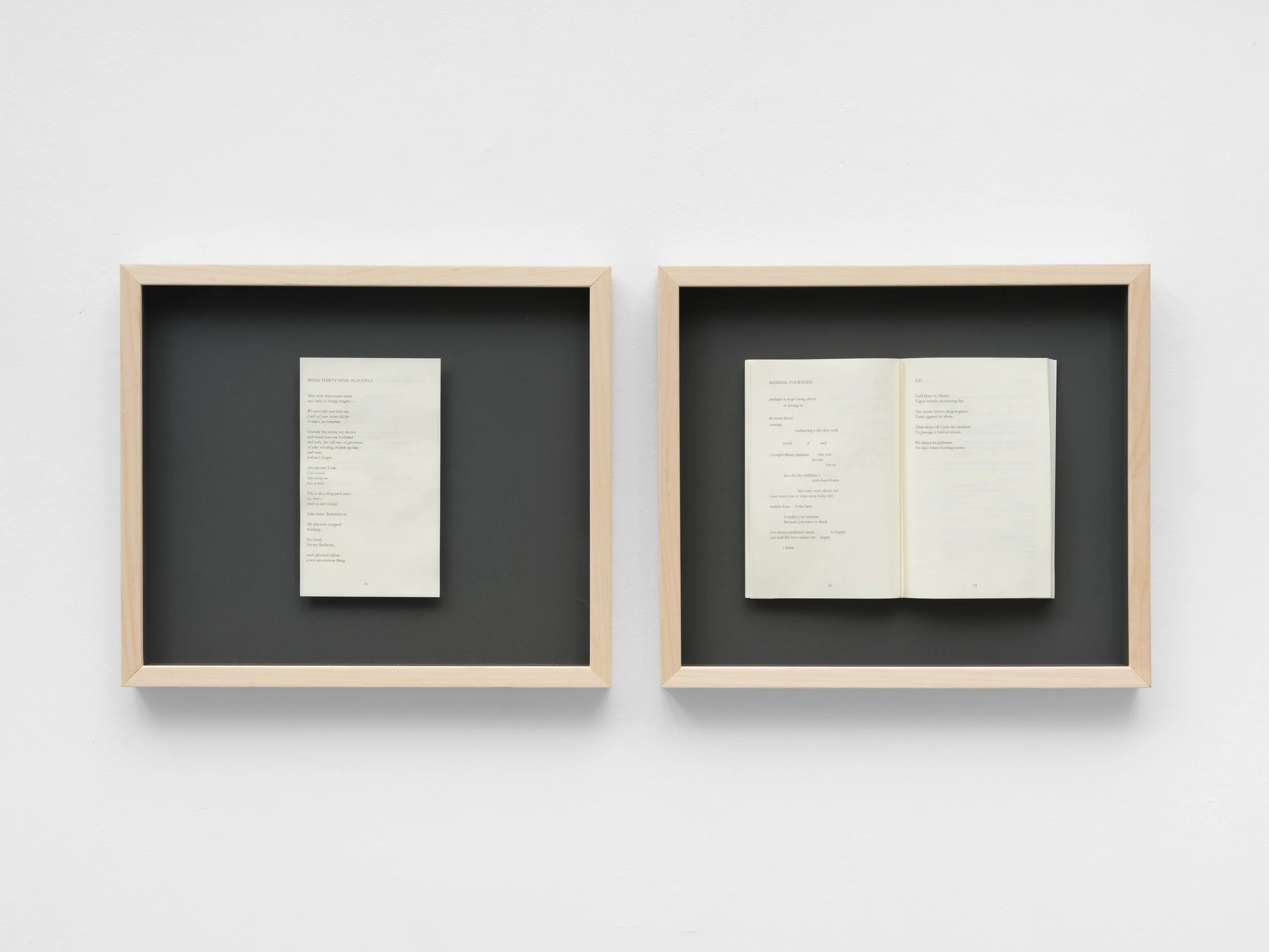 Ana María Caballero, Echo Graph - Page Break, 2025