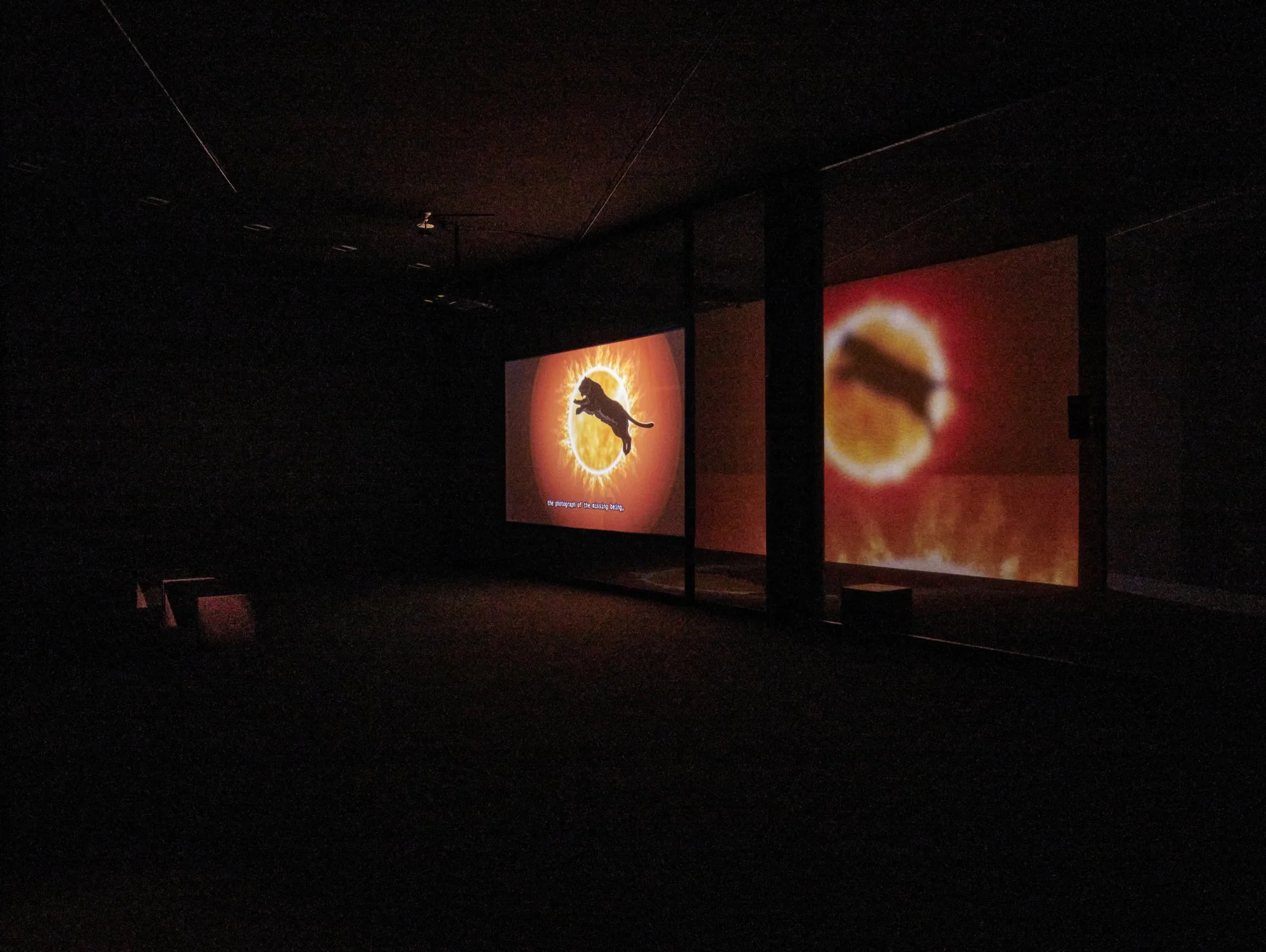 2025.02.13_MUDAM_Ho-Tzu-Nyen_095.jpg