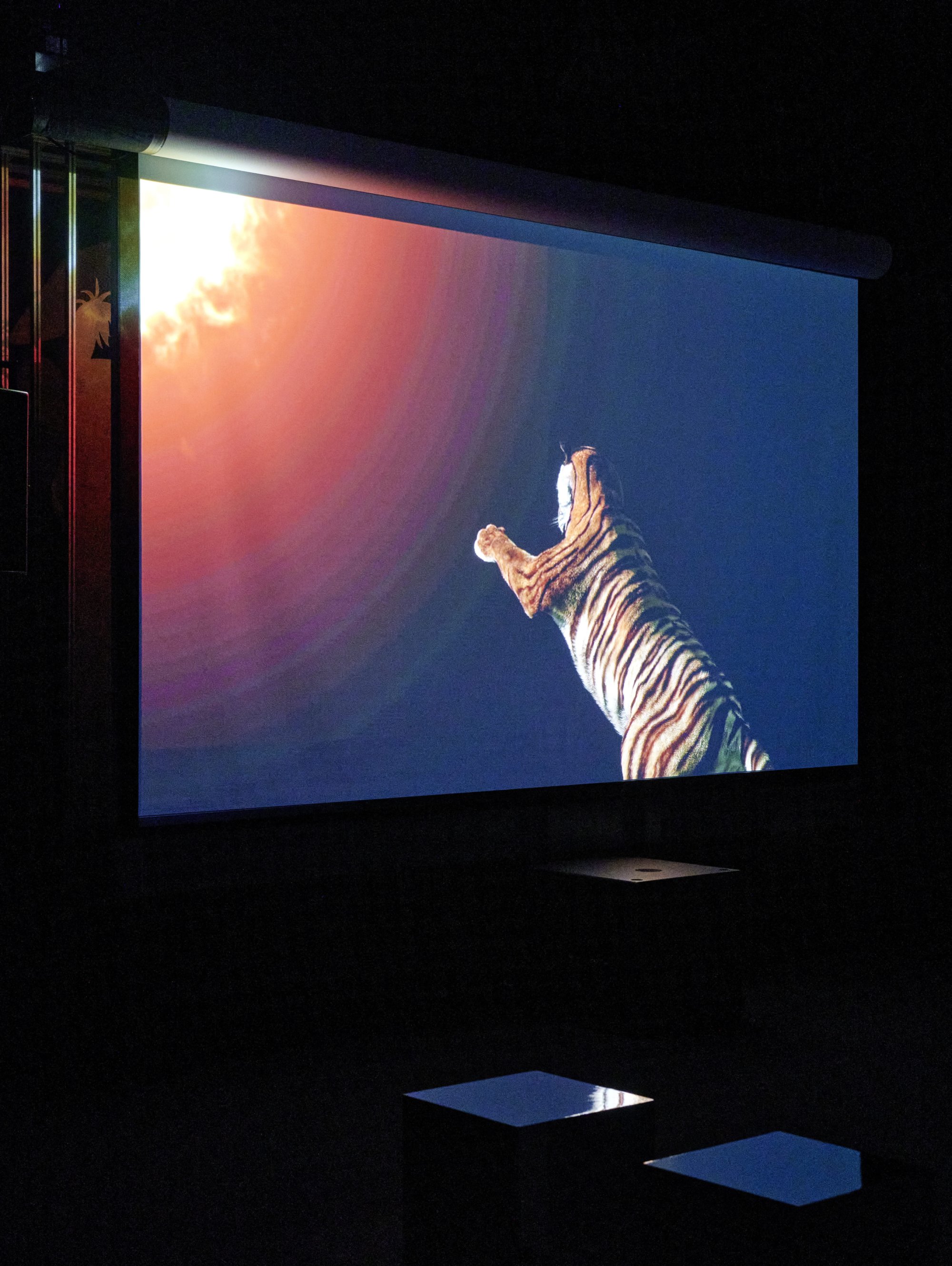 2025.02.13_MUDAM_Ho-Tzu-Nyen_156.jpg
