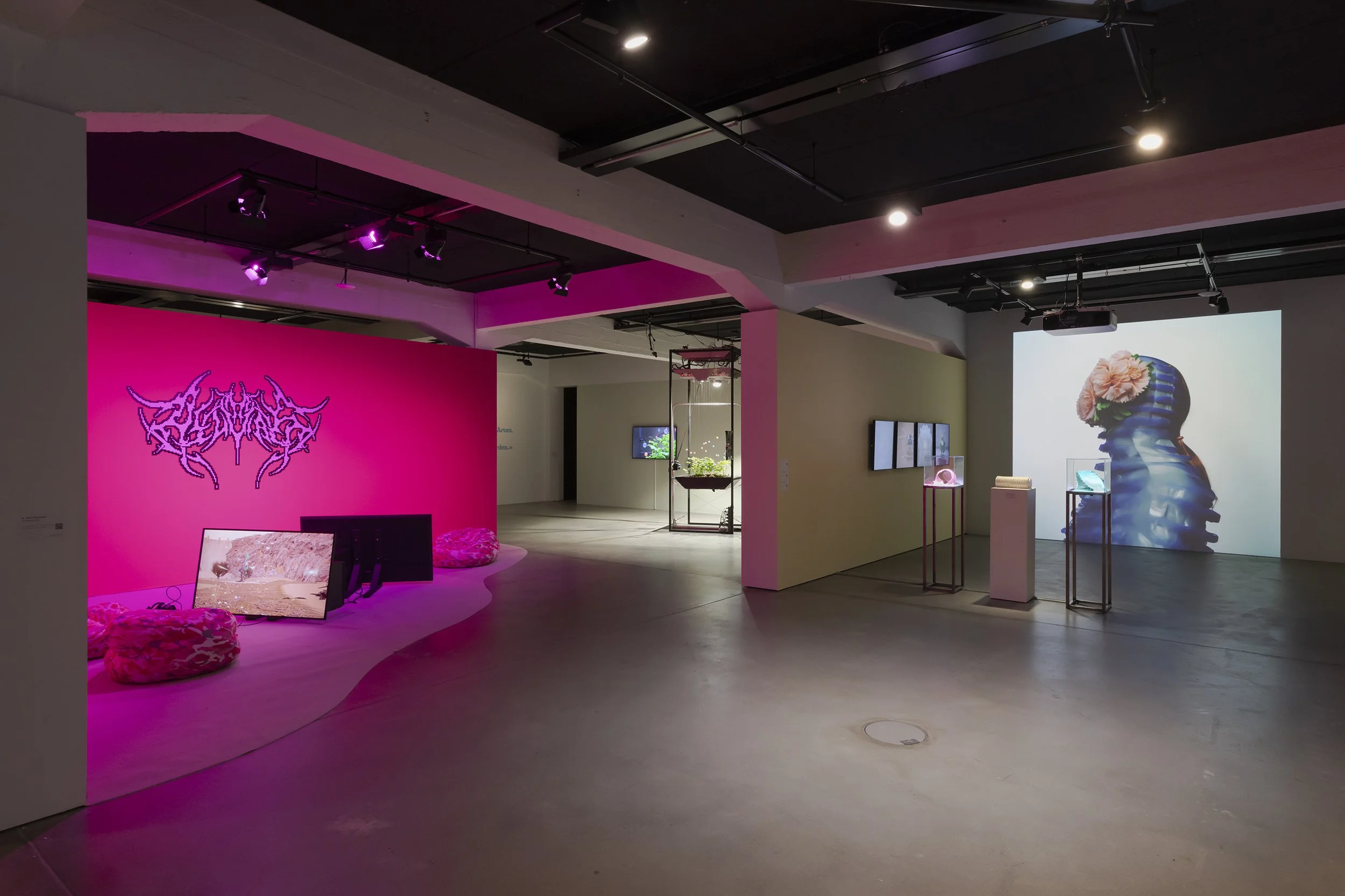Vista de exposición, Other Intelligences, HEK Basel, 2025