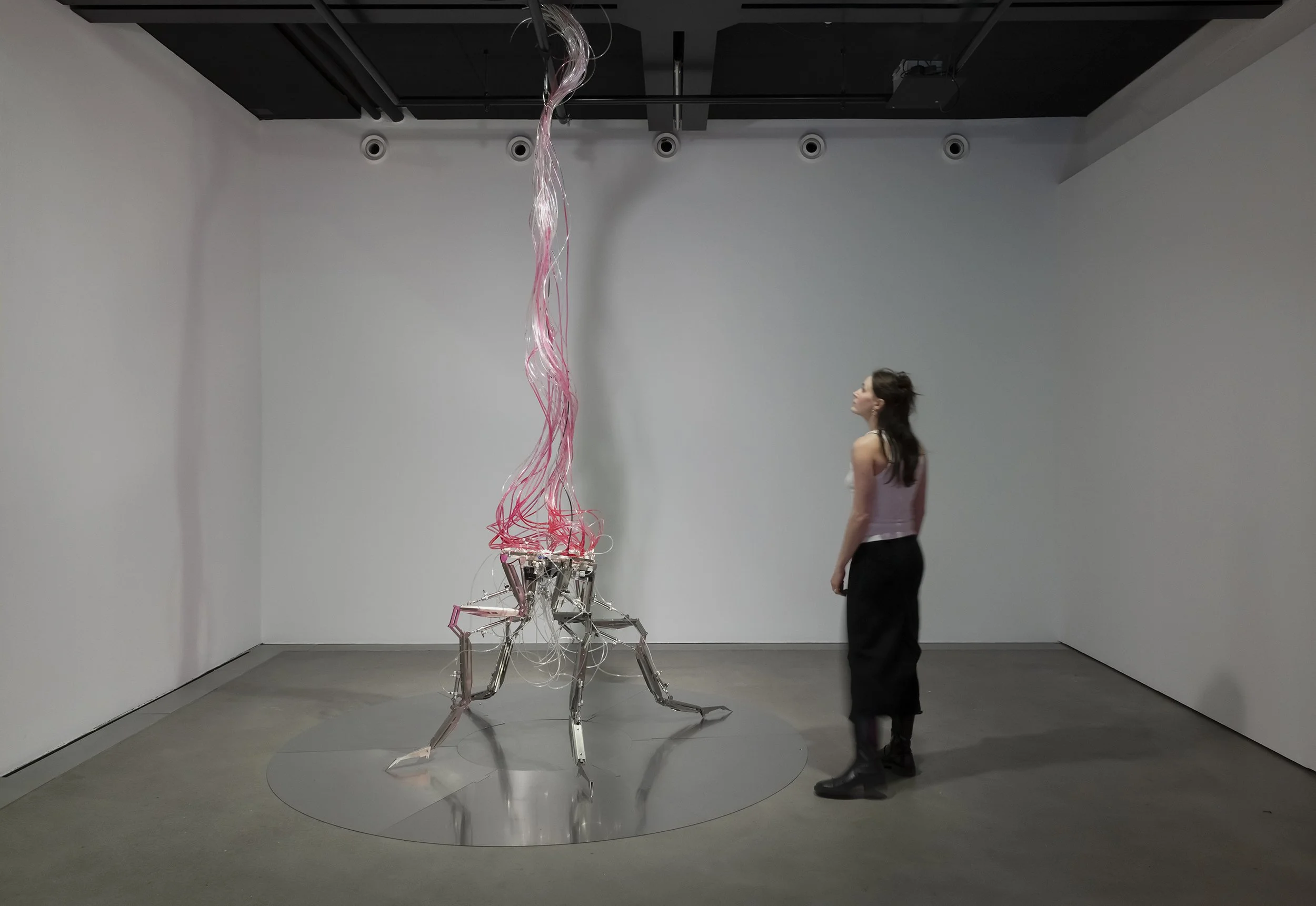 HEK_Yiming-Yang_Splice_2020_Andere-Intelligenzen_2025_Foto-FranzWamhof_01.jpg