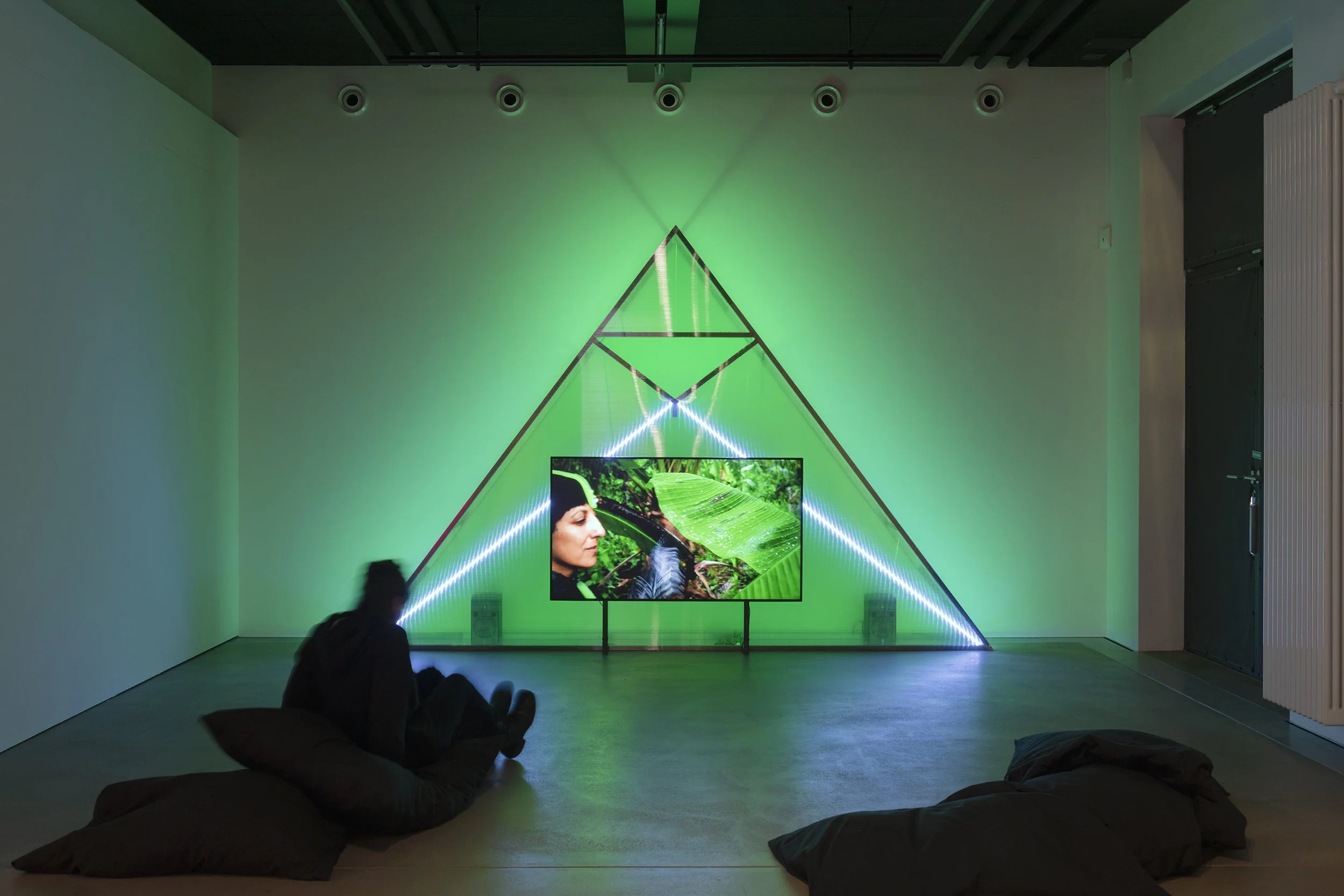 HEK_Patricia-Dominguez_Matrix-vegetal_2021-2022_Andere-Intelligenzen_2025_Foto-FranzWamhof01.jpg
