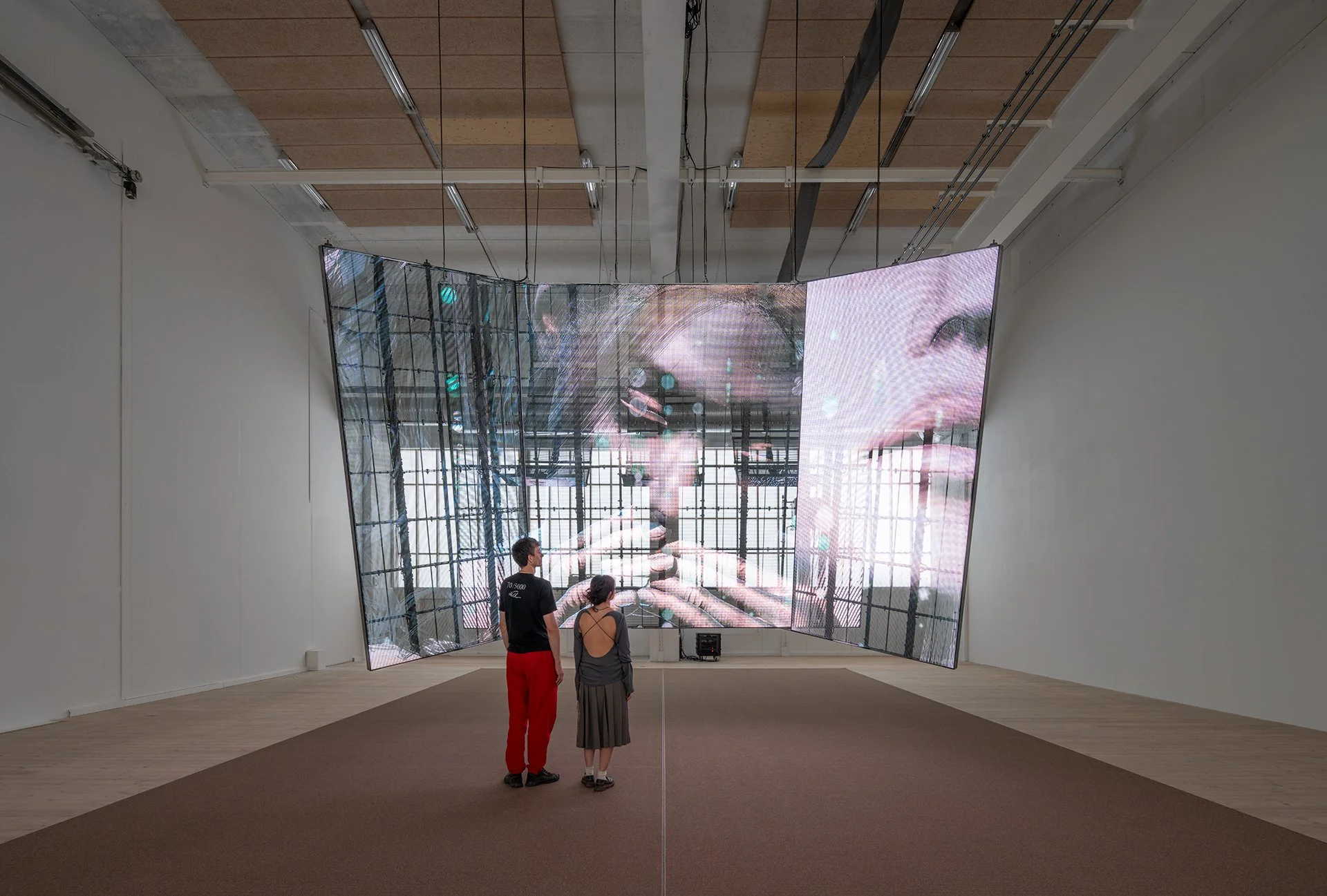 WangShui, Certainty of the Flesh, 2023