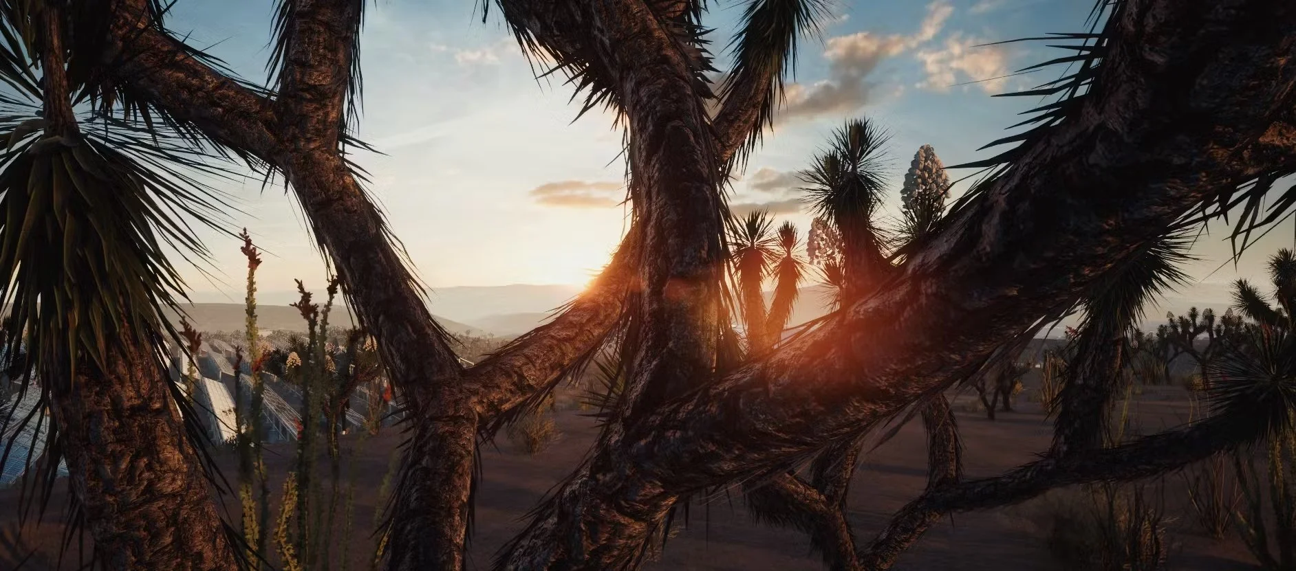 Staring at the Sun (2024 – 2025)