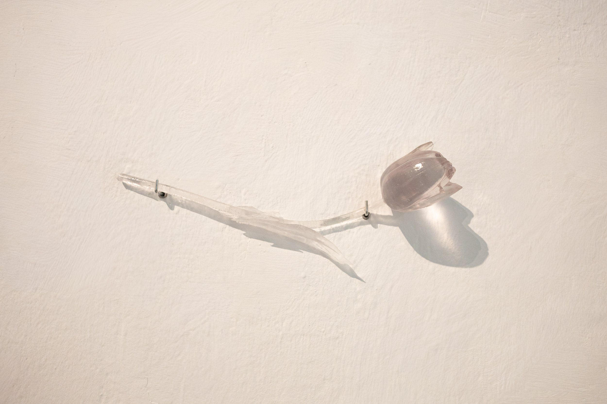 THE FLOWERS ARE BURNING. Marc Mateos Monteagudo (23).jpg