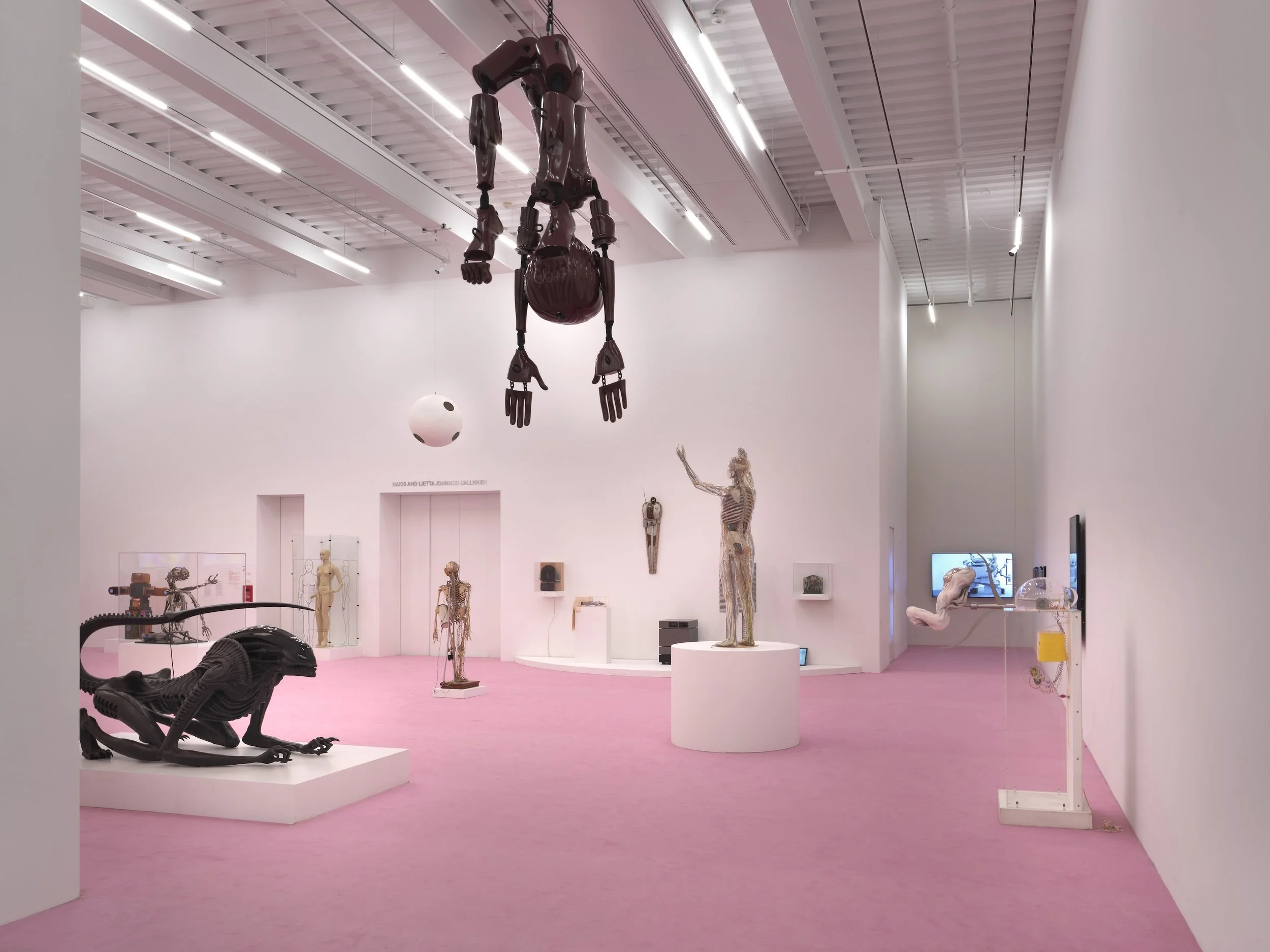 New Museum_New Humans_03,26_0301.jpg