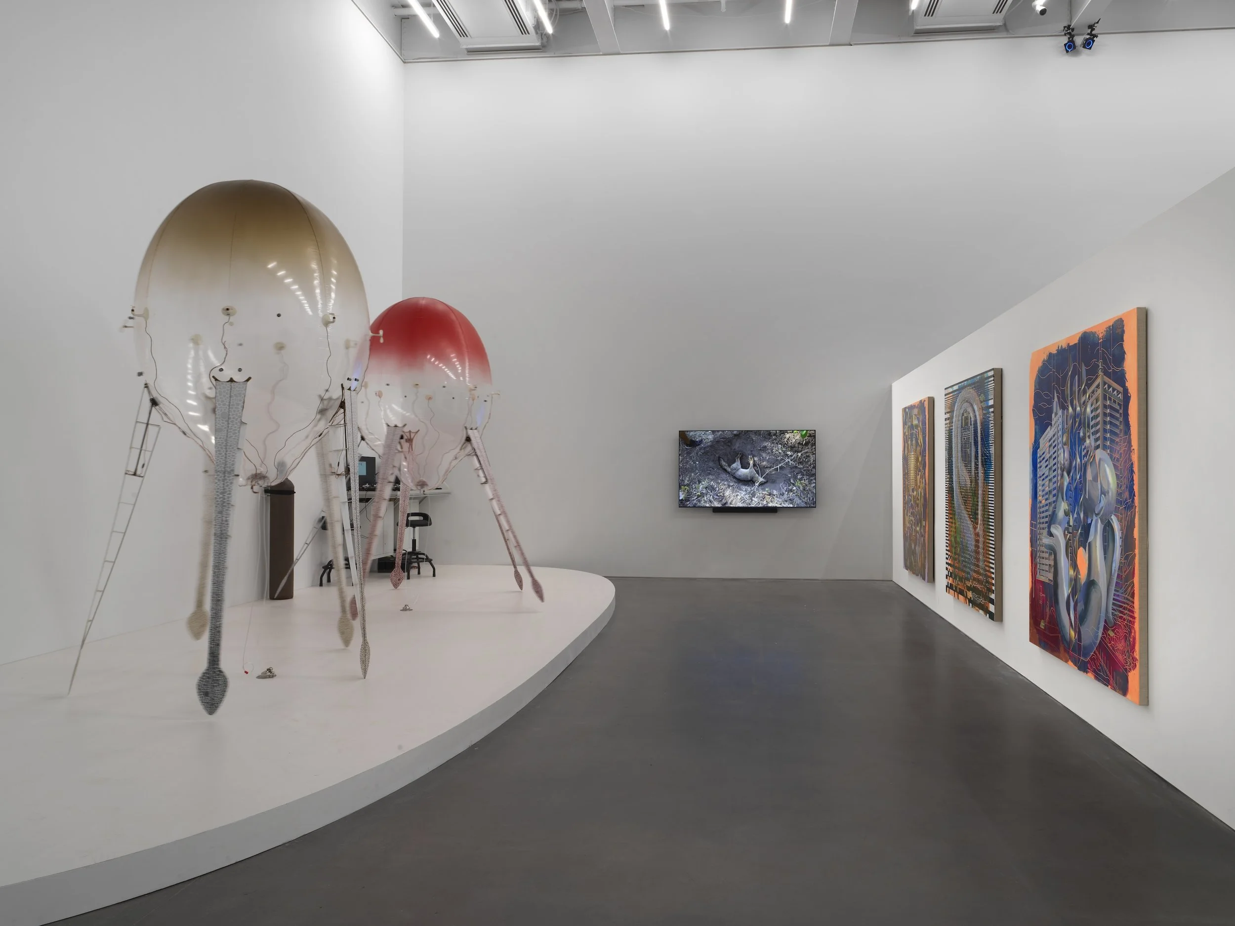 New Museum_New Humans_03,26_1043.jpg