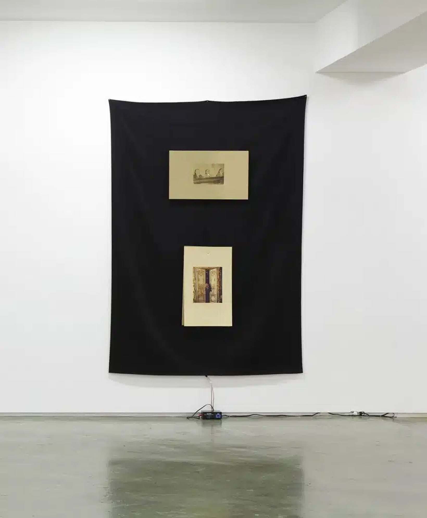Ei Arakawa &amp; Sergei Tcherepnin, Looking at Listening: Insights from the Forest, 2011