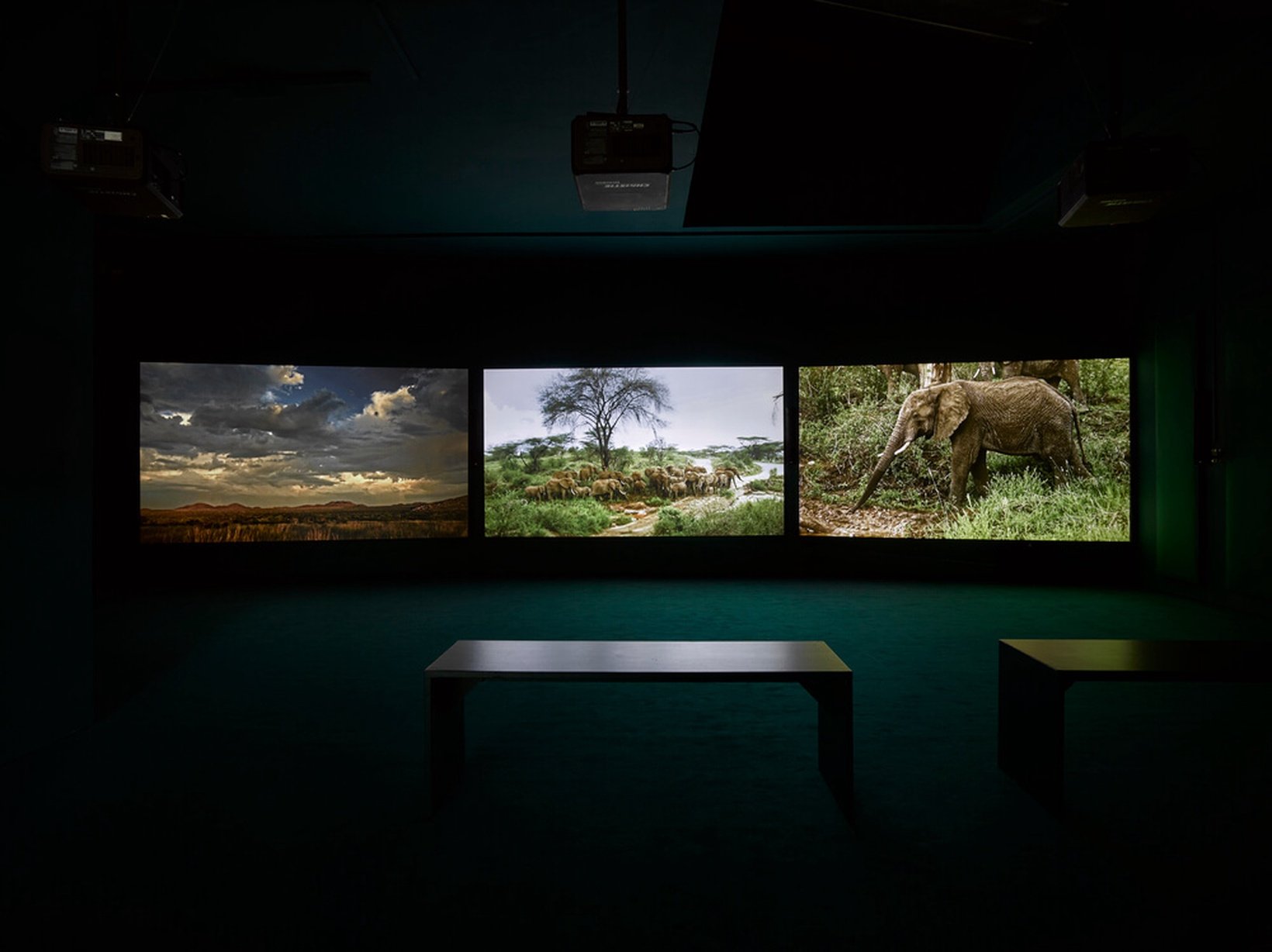 John Akomfrah, Four Nocturnes, 2019