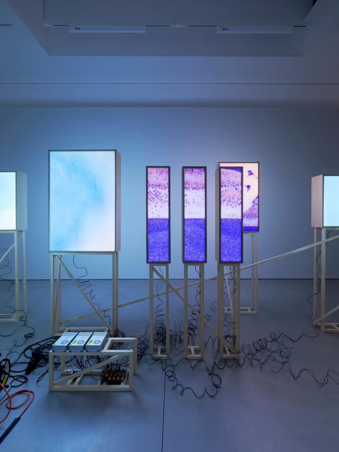 Semana 489_1 One Another