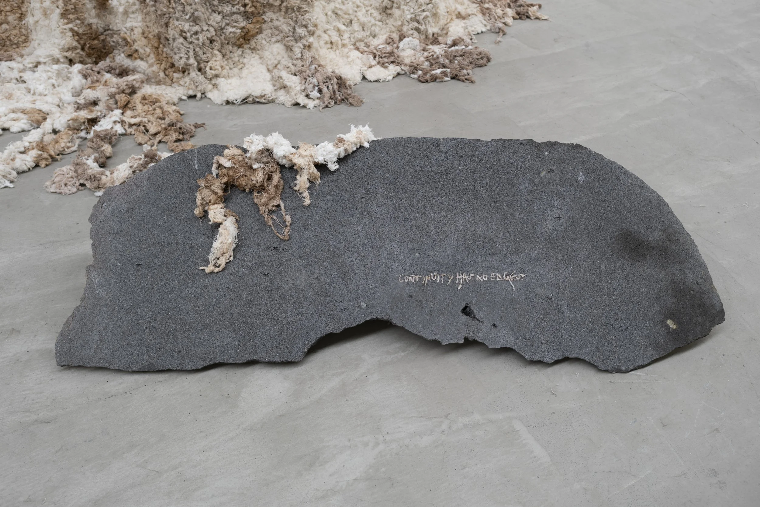 6_AXES_KiefferWoodtli@AlvarezChida.jpg