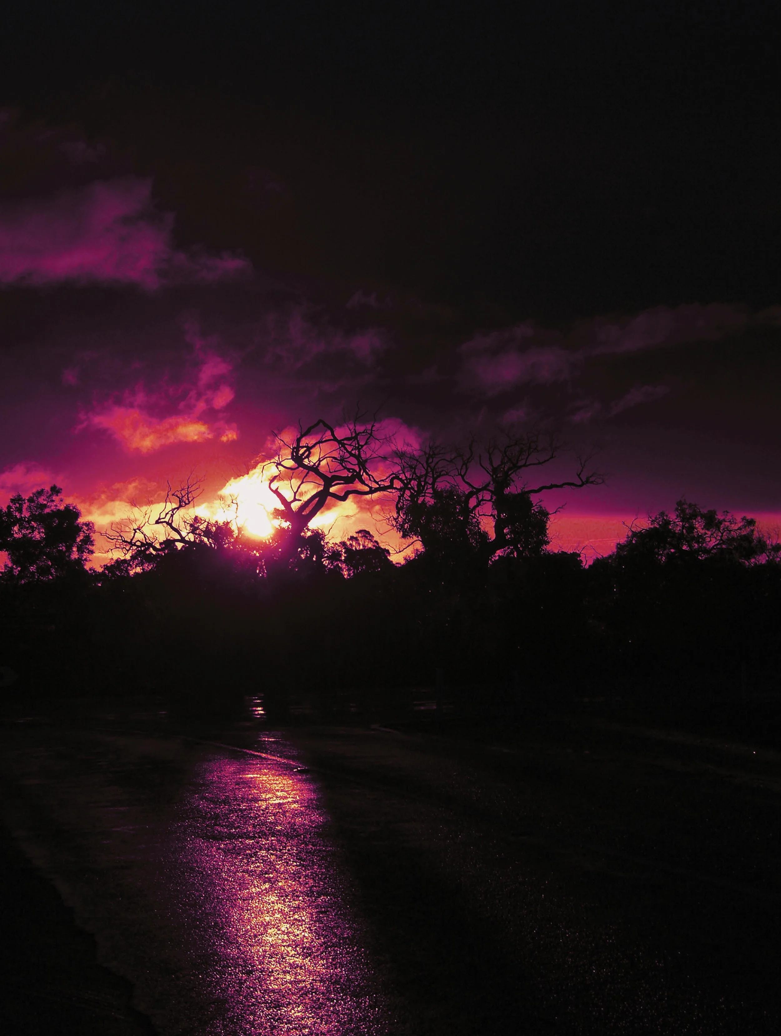 Photomedia_4.jpg