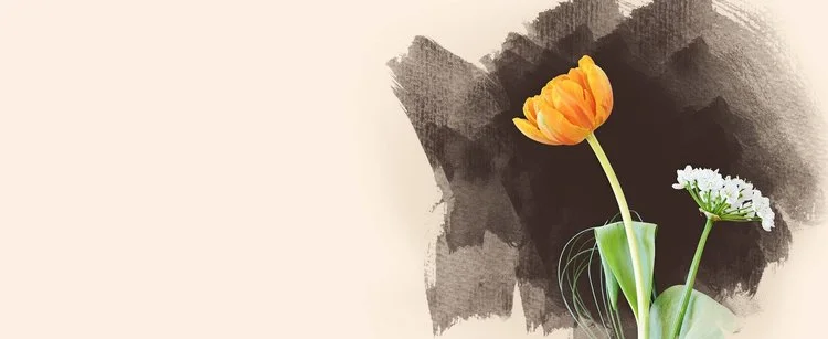 Boxes Left Unopened - Dreams Left In Space