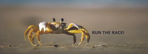 Run The Race!