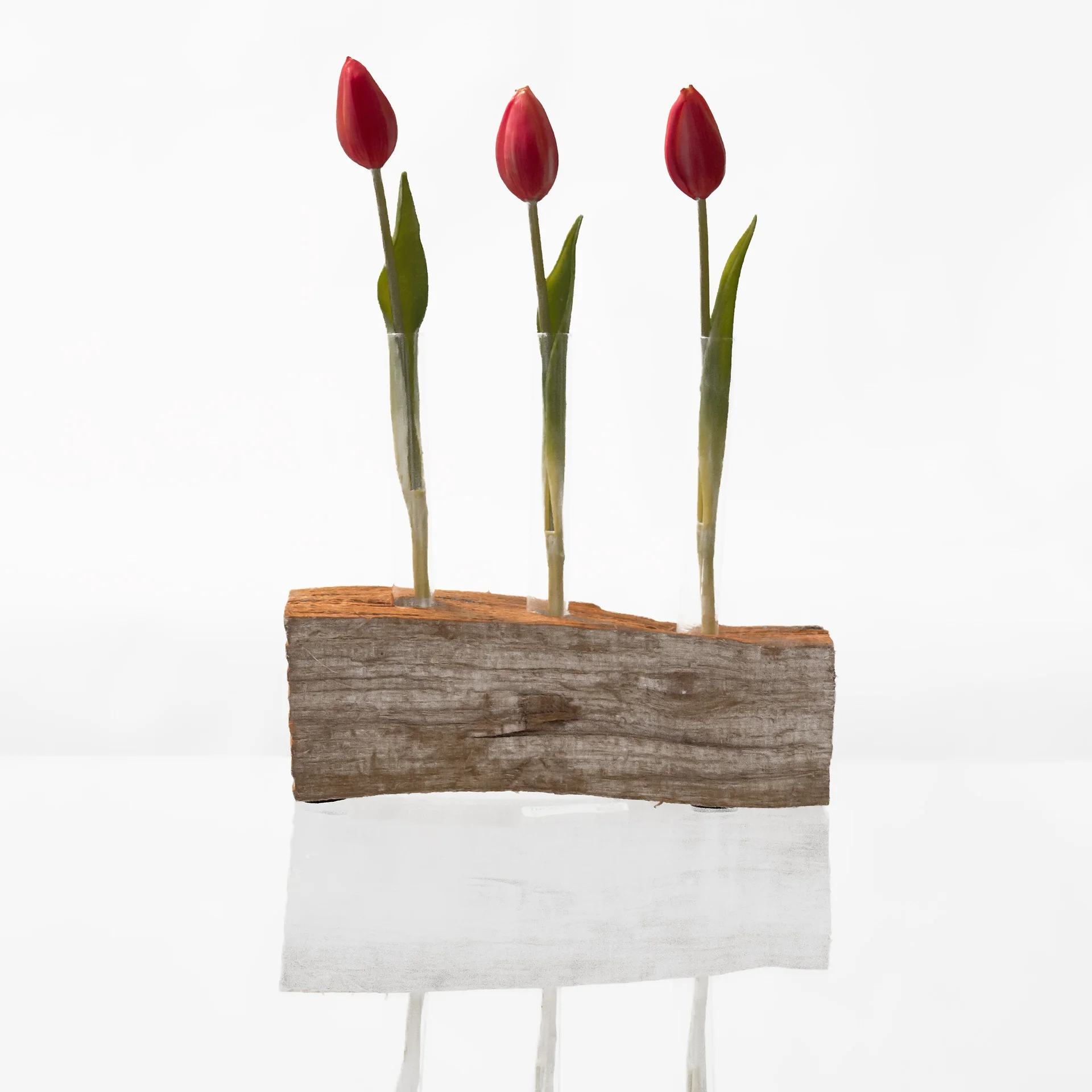 flower-3295551_1920.jpg
