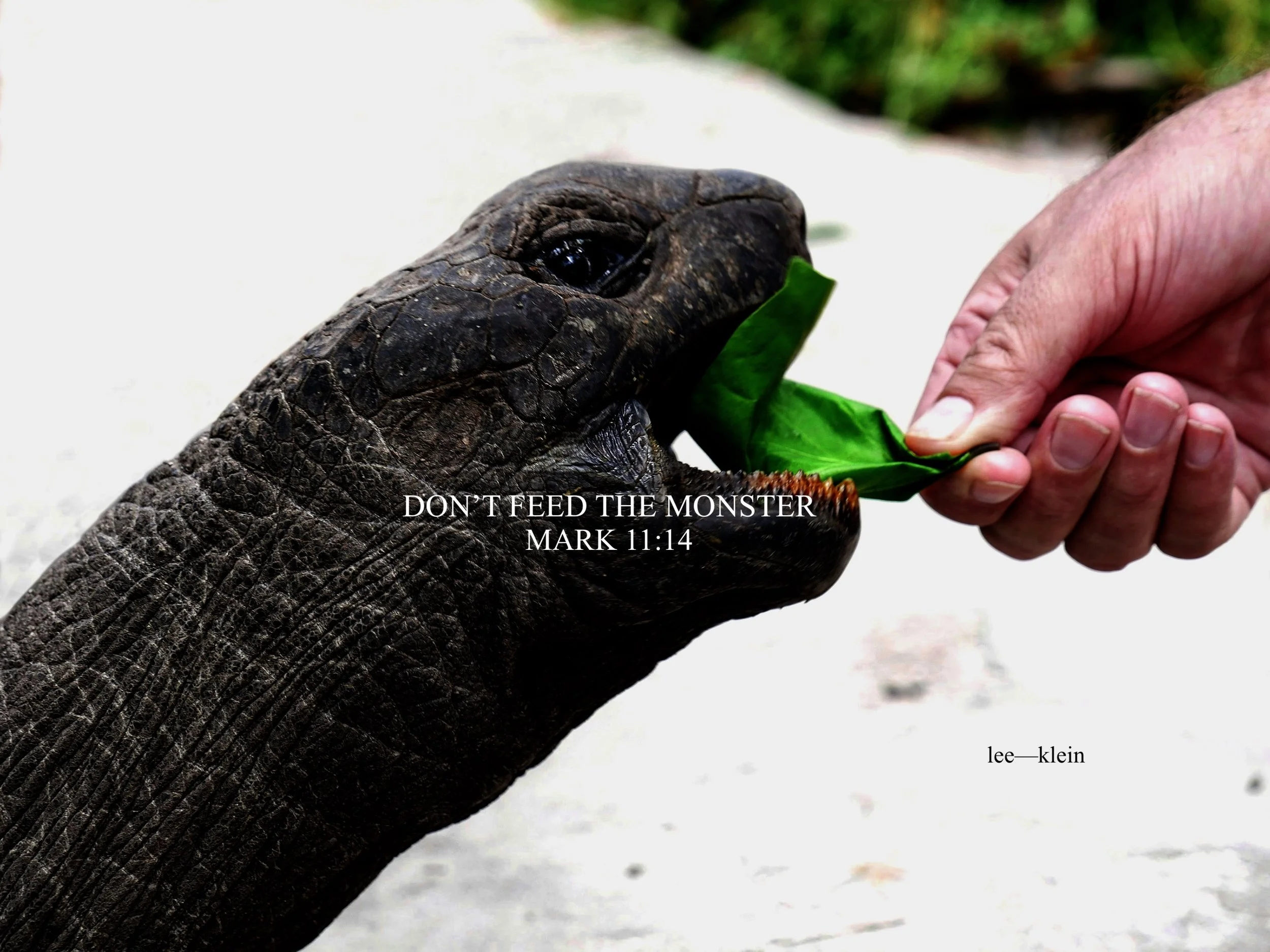 dont feed.jpg