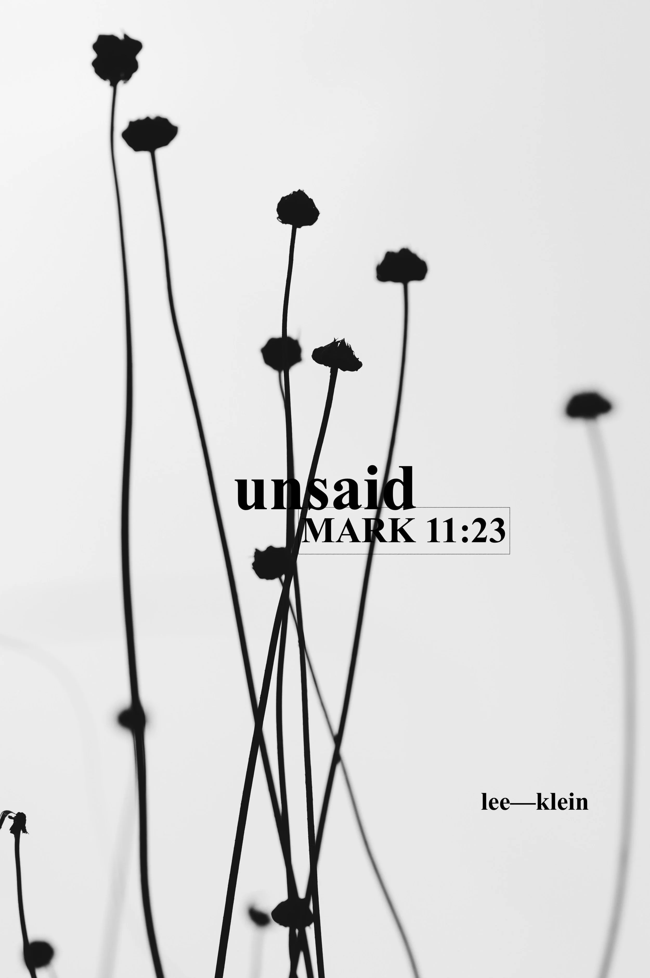 unsaid (1).jpg