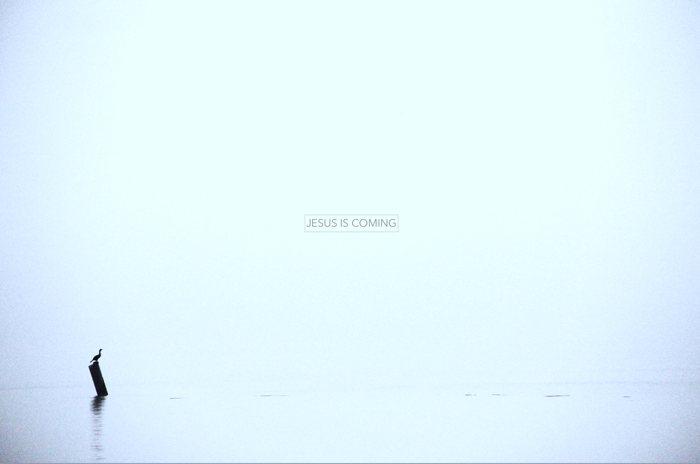 Screen Shot 2022-11-18 at 8.31.18 AM.png