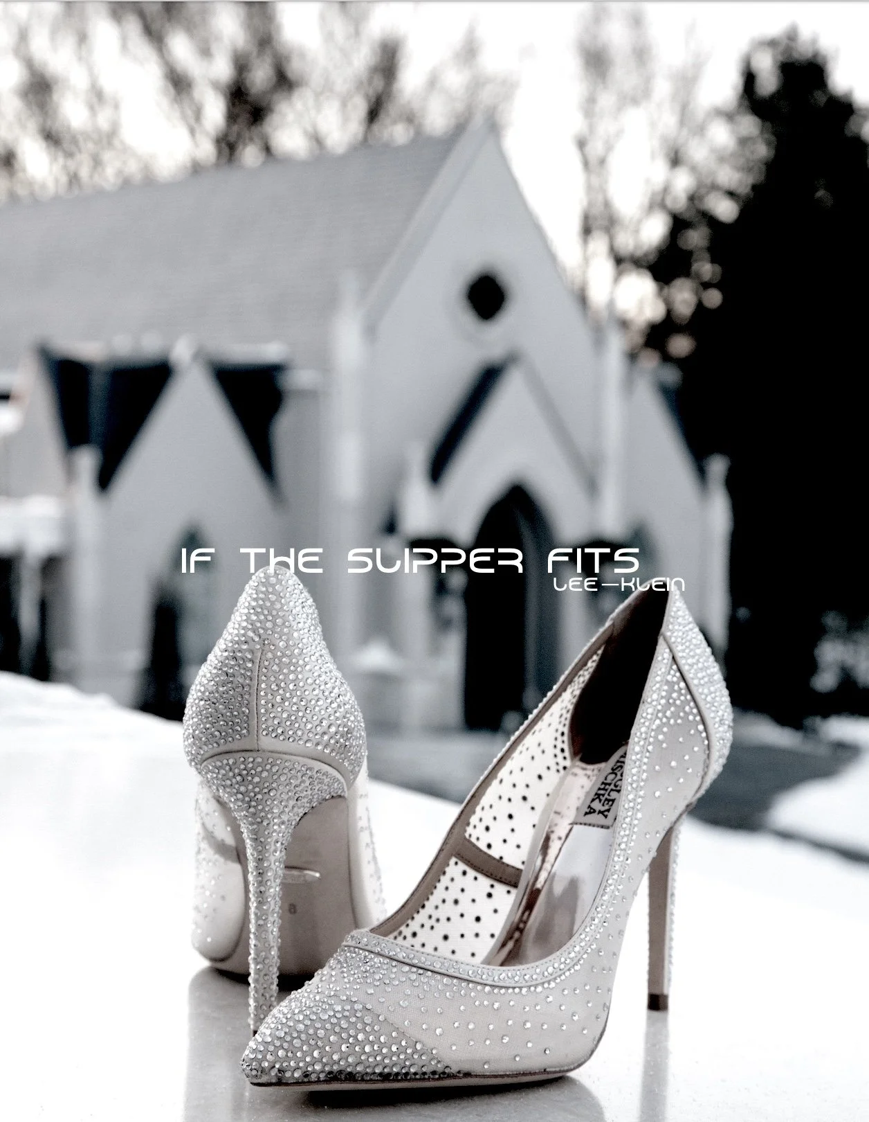 Image 1-24-23 at 10.16 AM.jpg