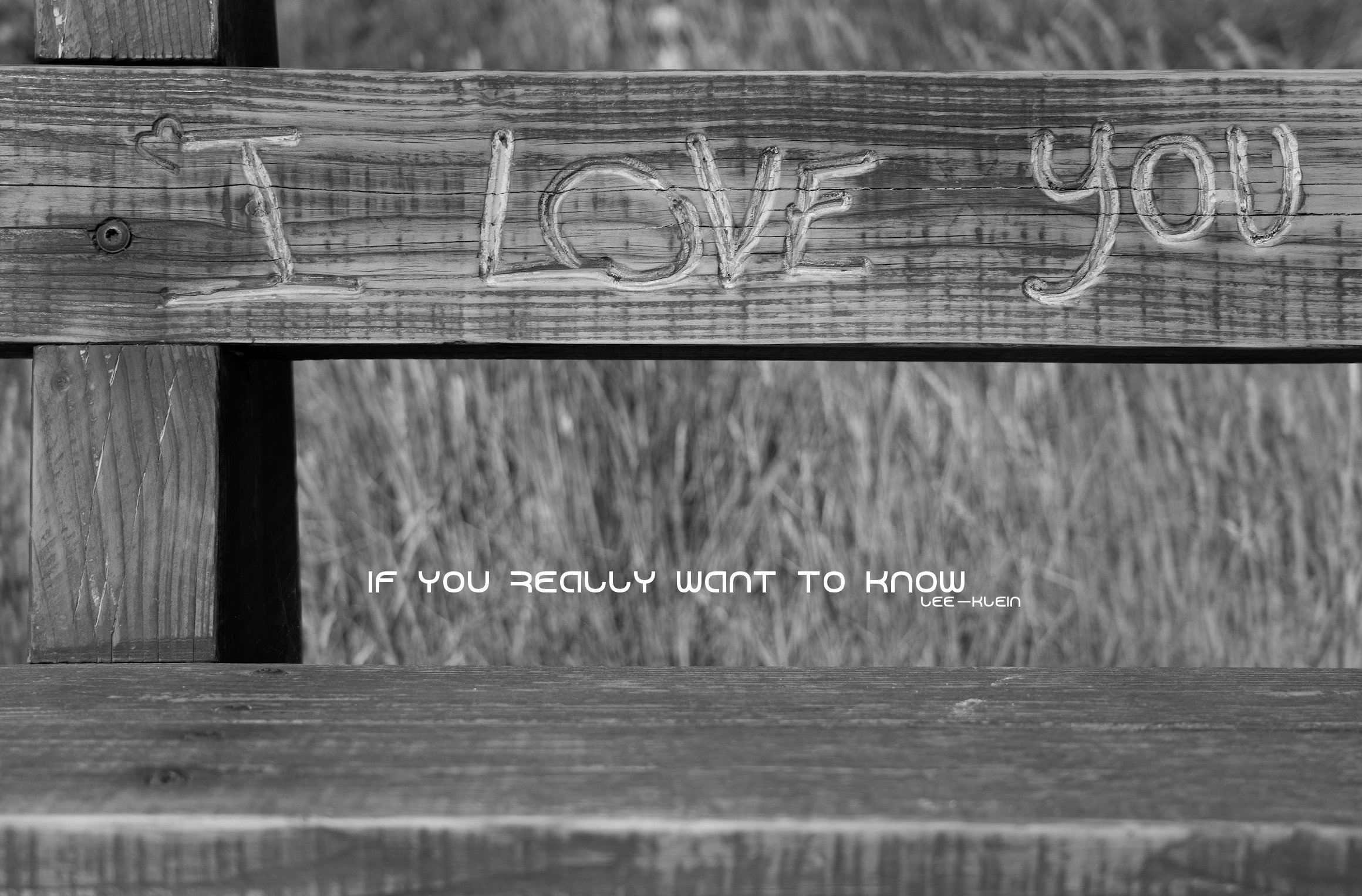 Image 4-25-23 at 6.46 AM.jpg