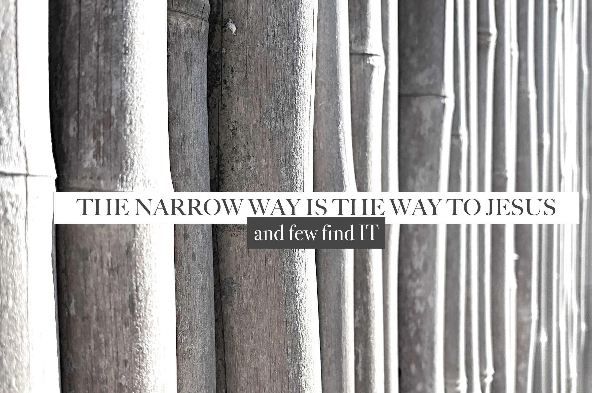 Image 10-5-23 at 12.17 PM.jpg