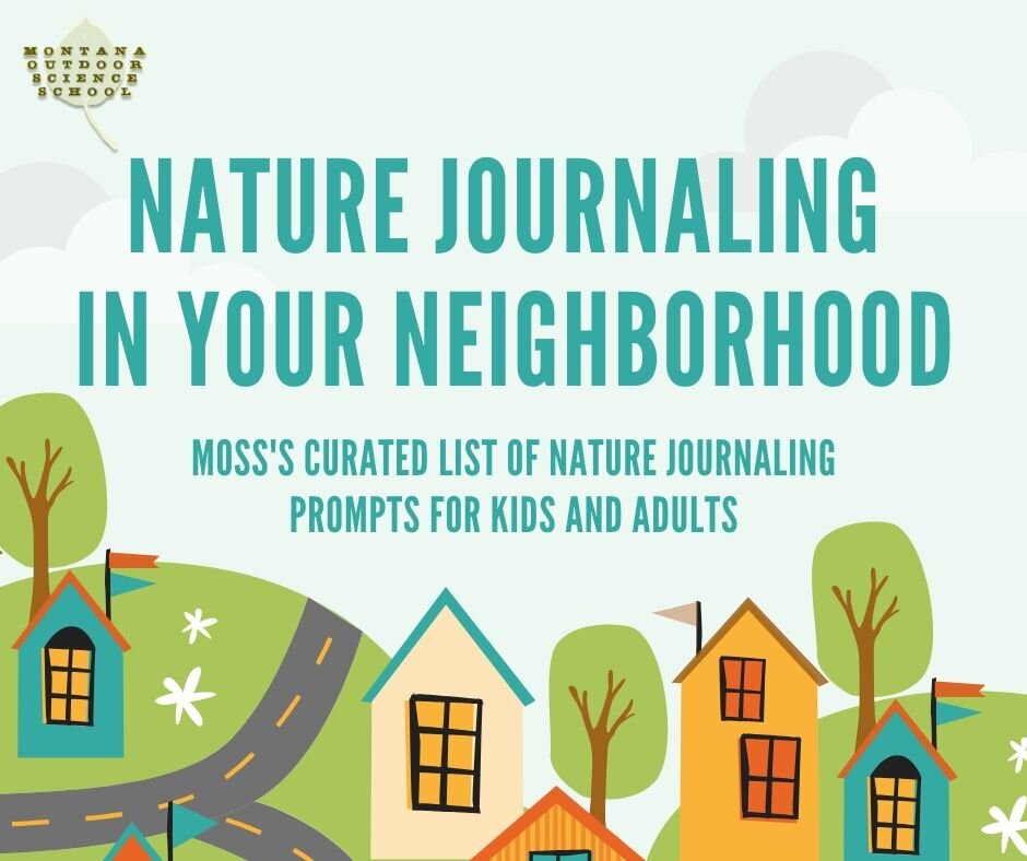 MOSS Nature Journaling.jpg