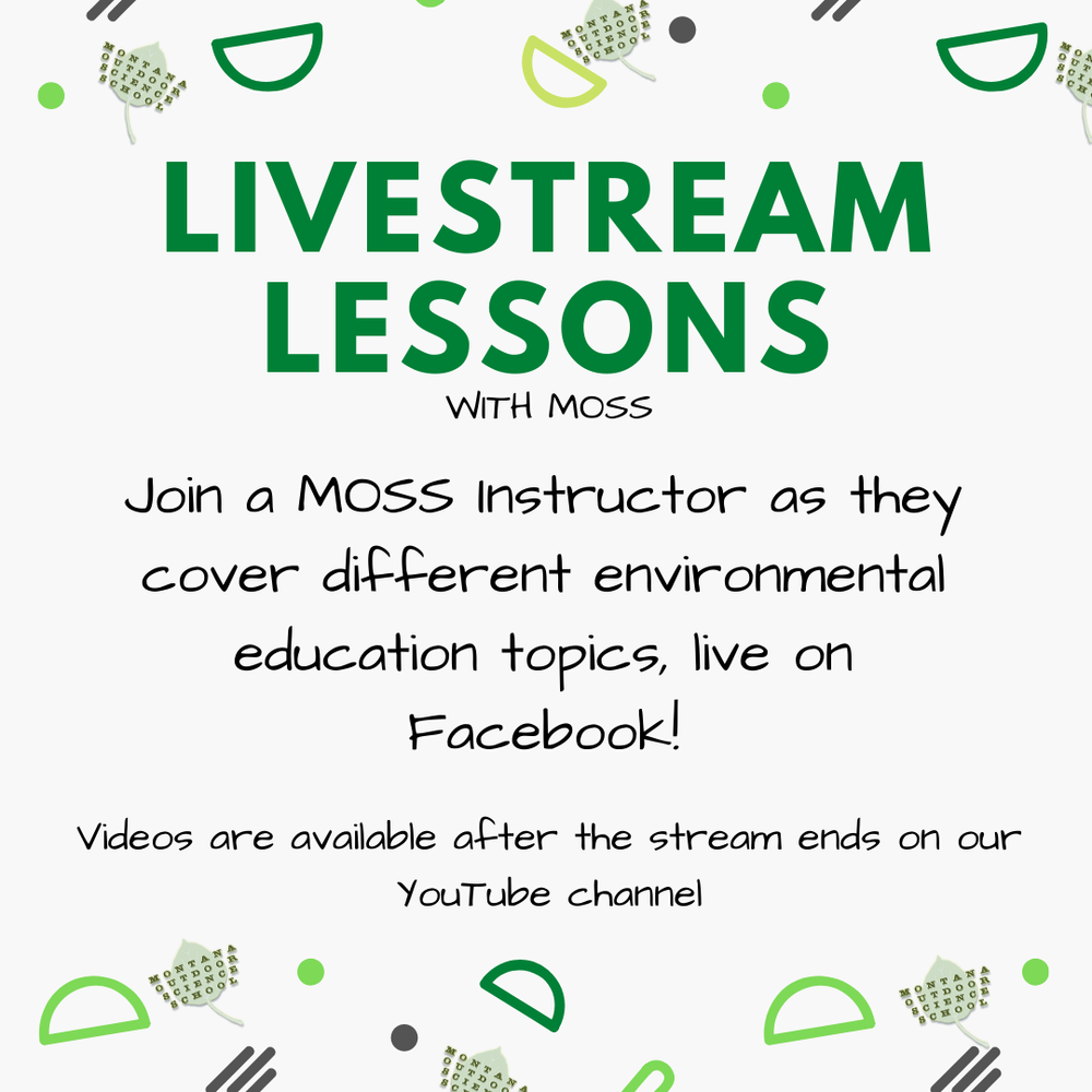 Online Learning Resources Montana Outdoor Science School Online Learning Resources Montana Outdoor Science School