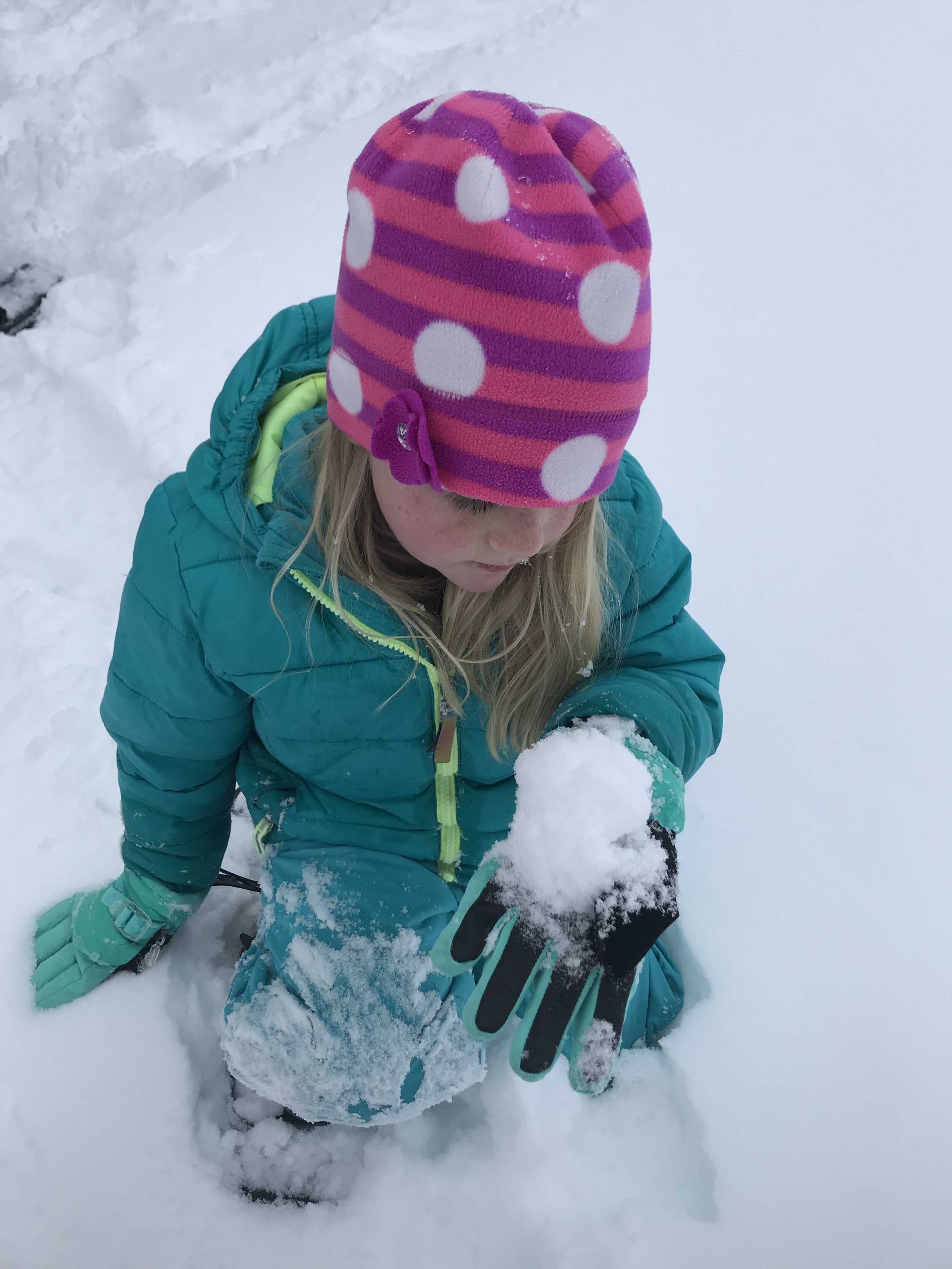 Child observes snow crystals in a hand full of snow.