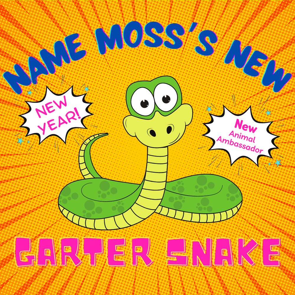 Name Our Snake Drawing — Montana Outdoor Science School