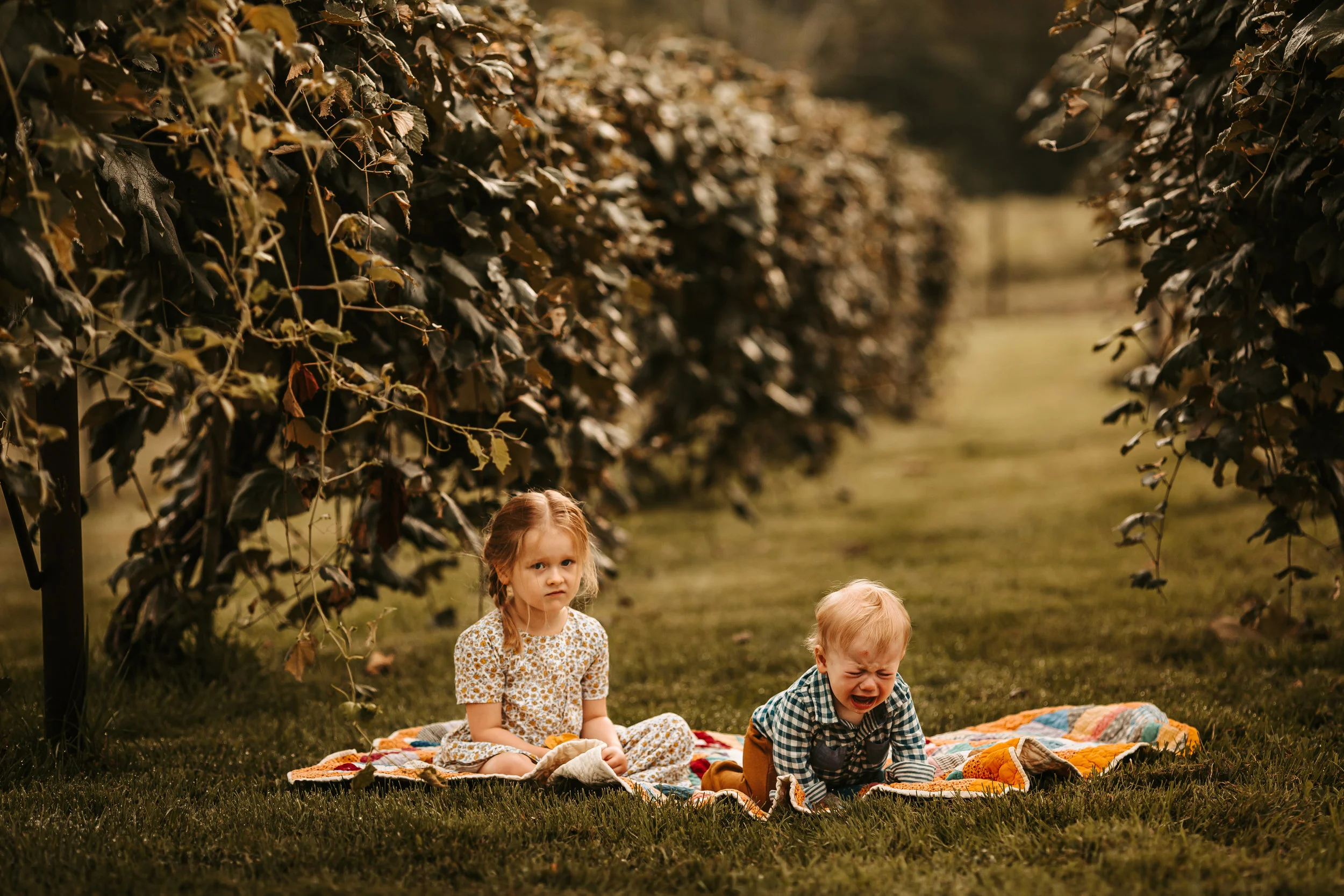 Ortbals | Family Session :: Sunrise Session on The Farm :: Missouri Portrait Photographer | Teri Ann Forck