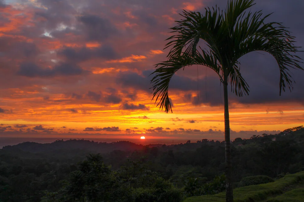 3860 - Ojochal OV BnB  (3).JPG