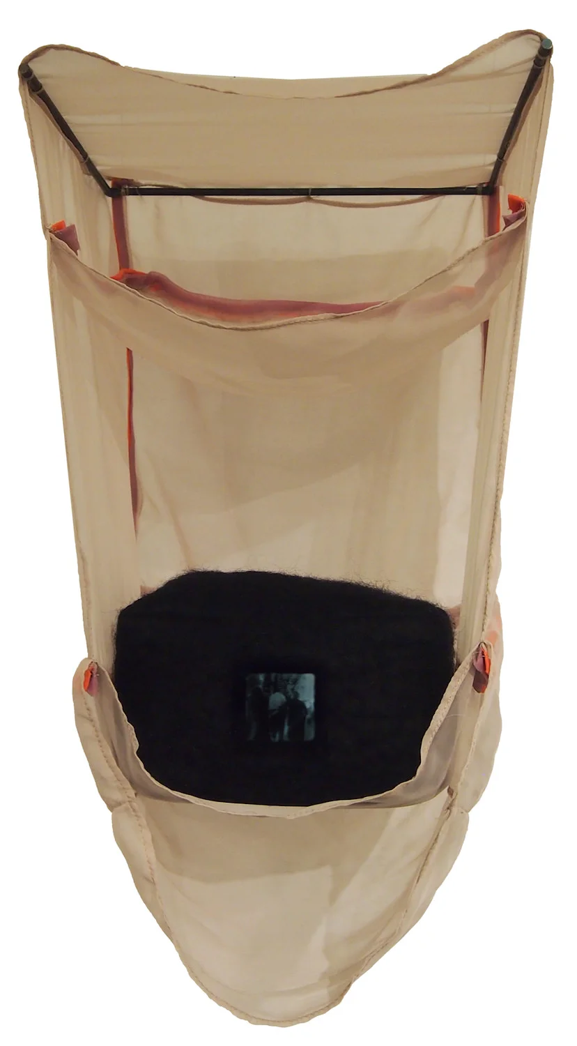 Gut felt, organza, steel, glass, spectral image 20 x 12 x 12 inches