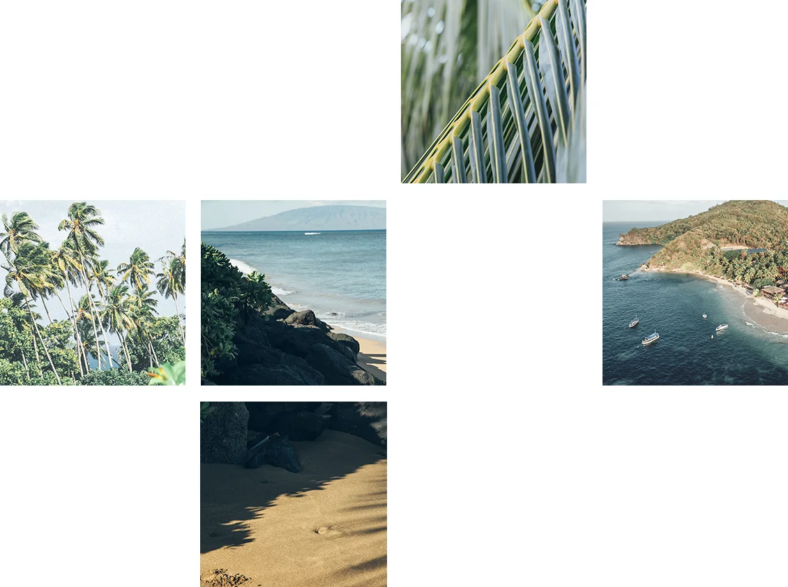 Revised_NA_Jan17_LOFFiji_ImgComp05.jpg