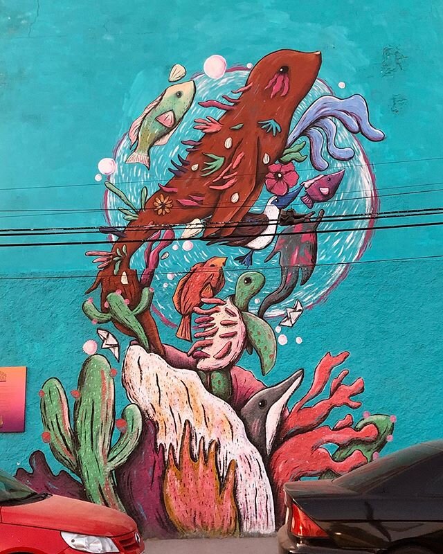 Thanks to a project called Ciudad Mural La Paz, organized by a collective of Mexican artists, the seaside town of La Paz is brightly-painted with over 30 beautiful murals. The art tells the city&rsquo;s story. From works highlighting the incredible w