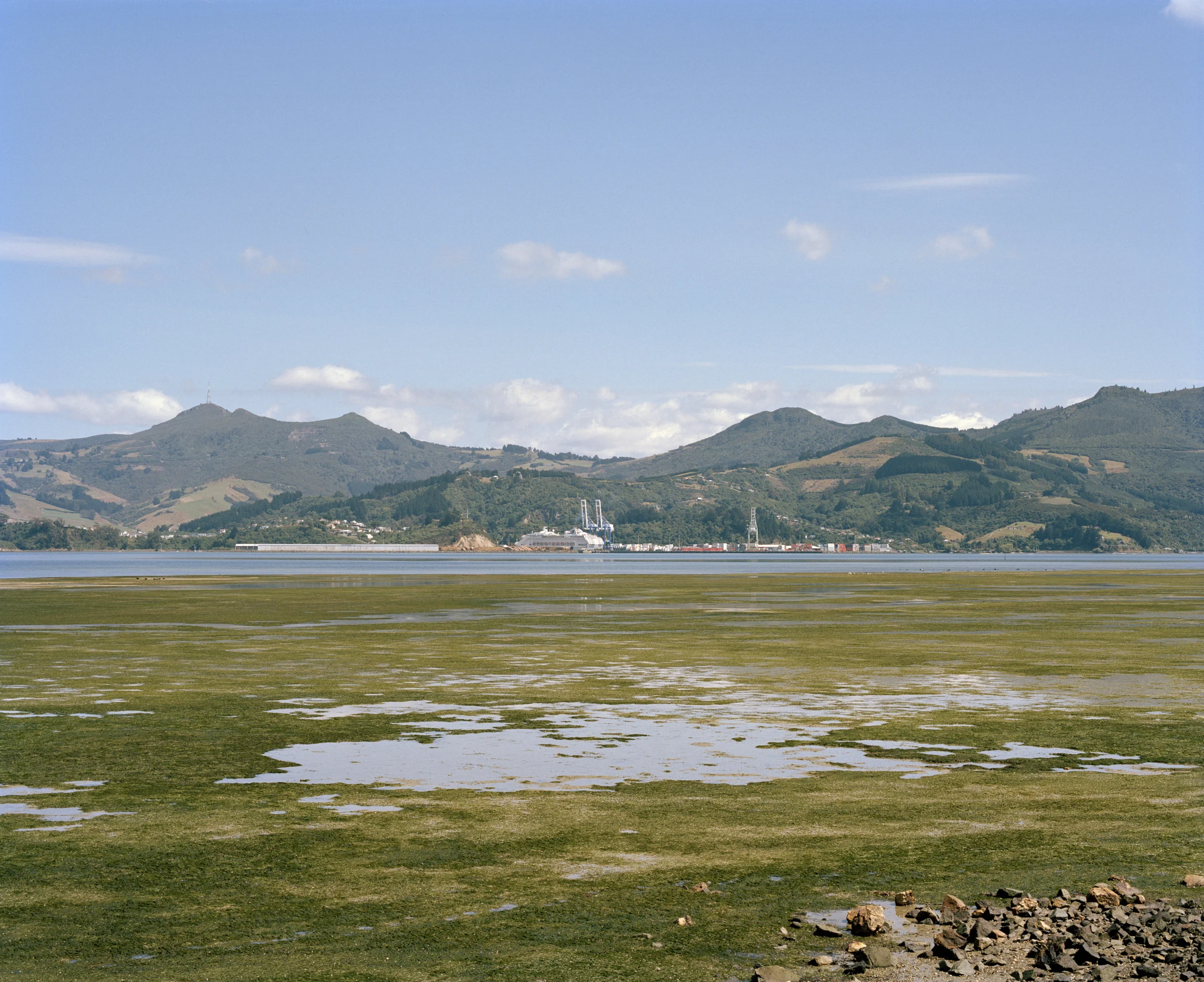 Port Chalmers, 2015