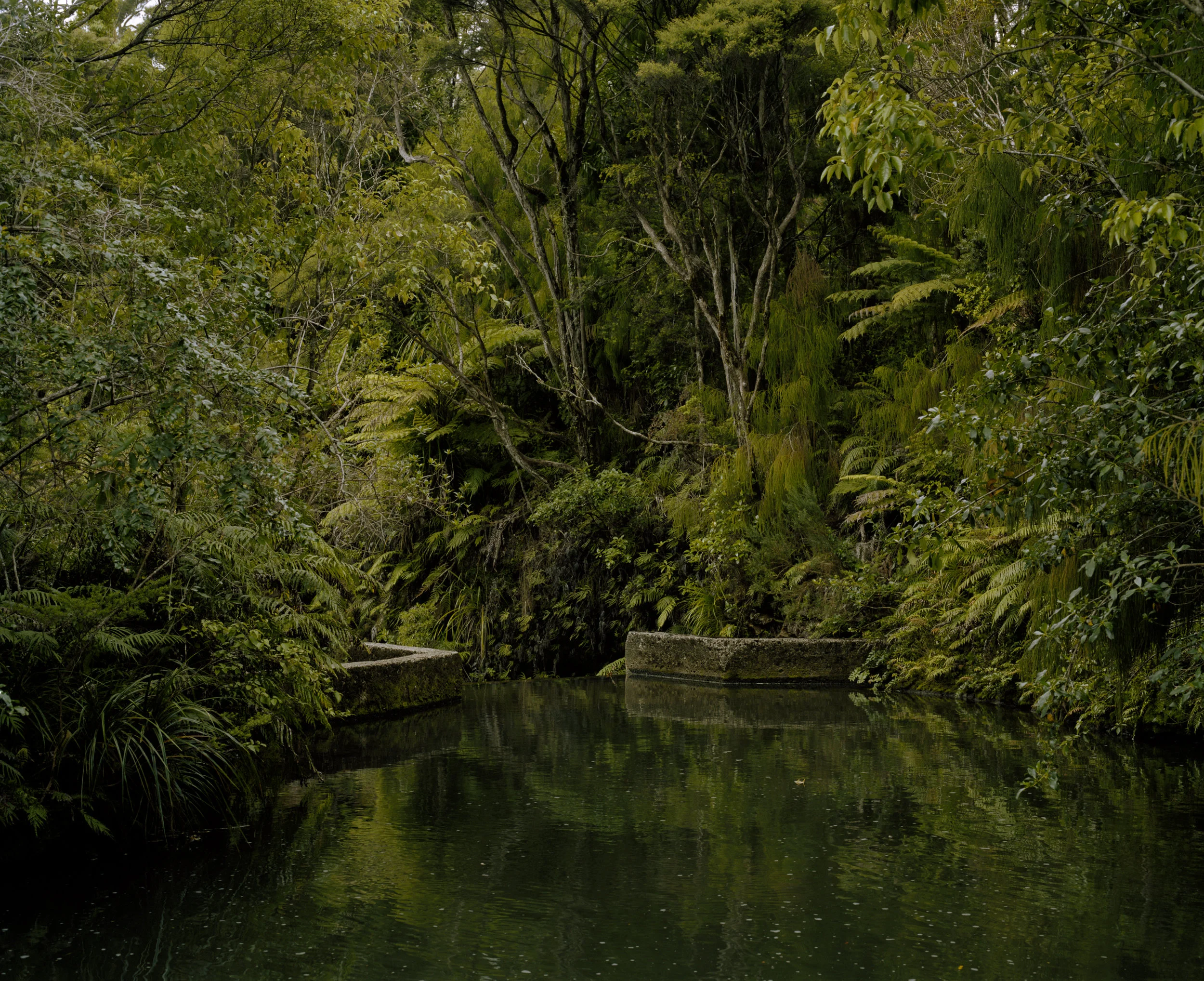 Upper Nihotupu Dam, 2014