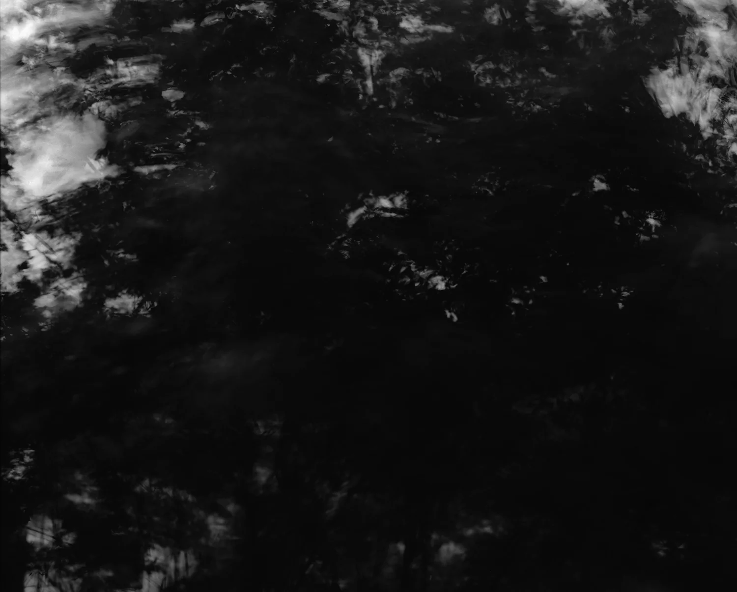 Baum (Apartment)