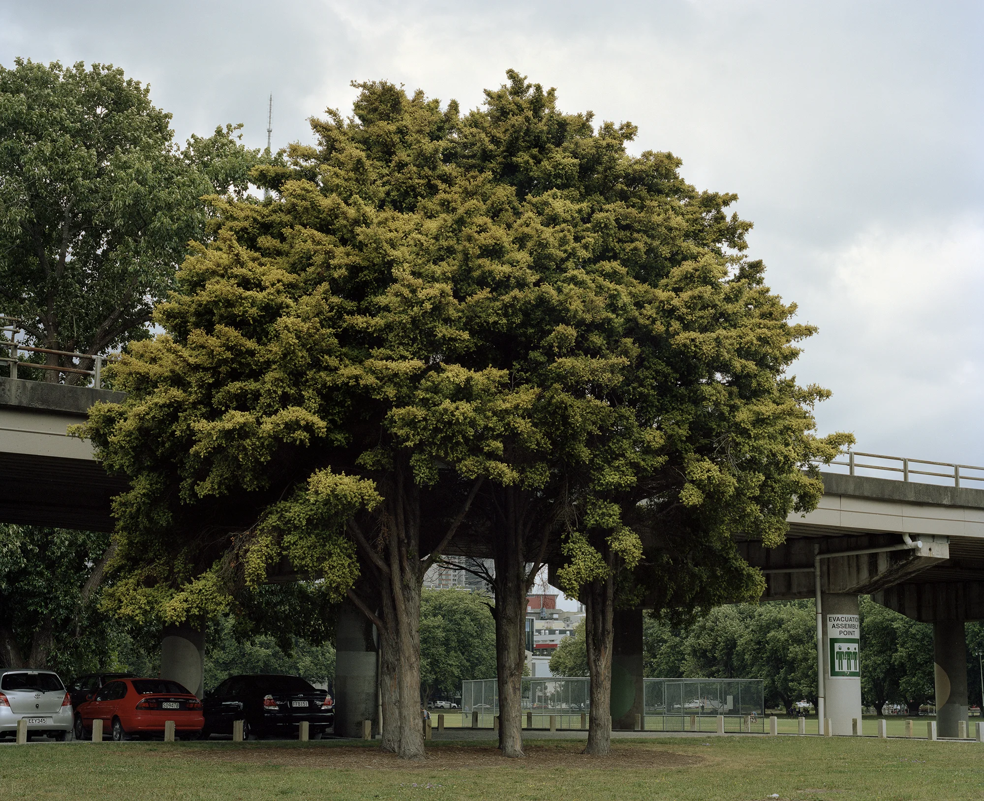 Victoria Park, 2014