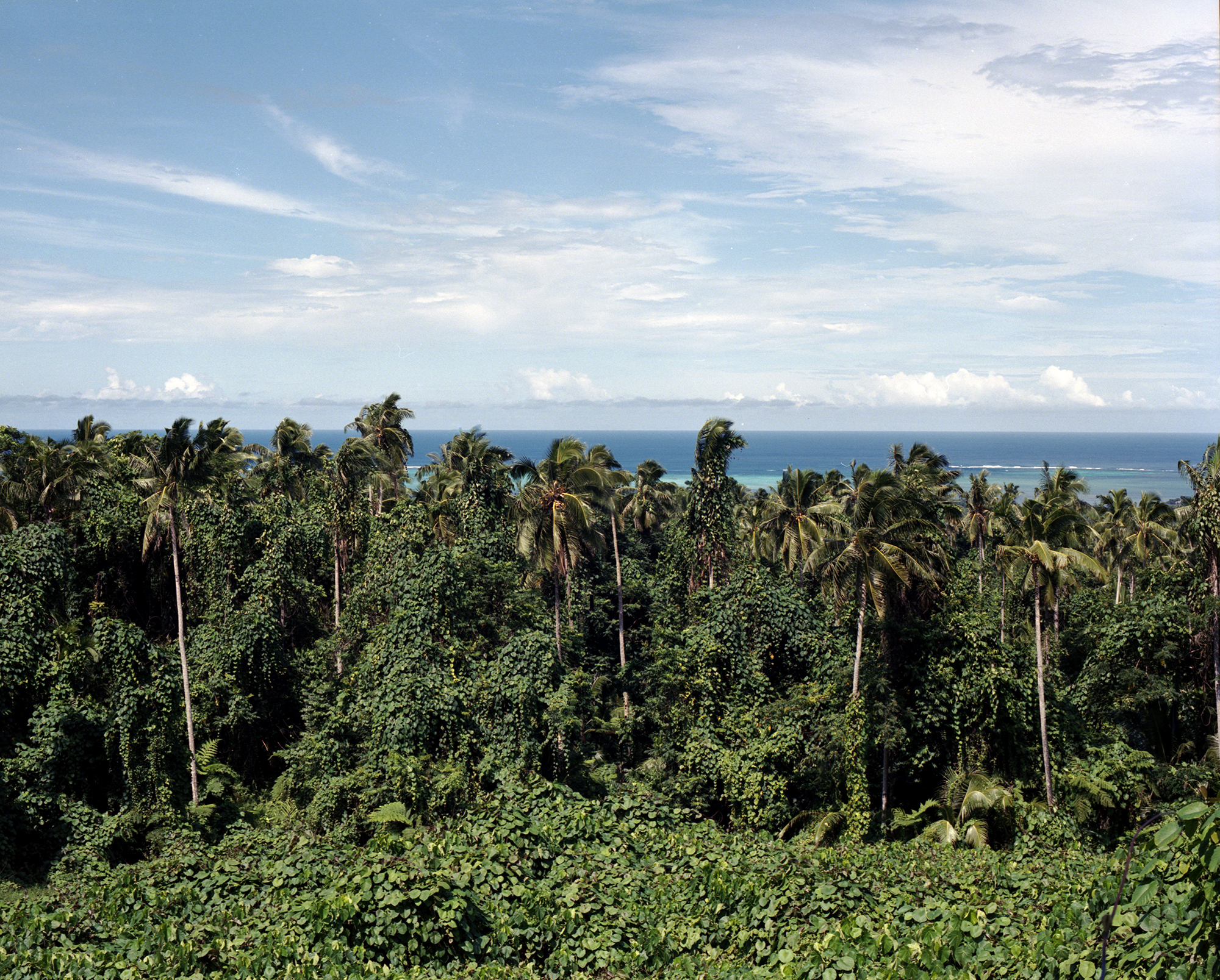 Pulemelei Mound, Palauli, Savai’i, 2019