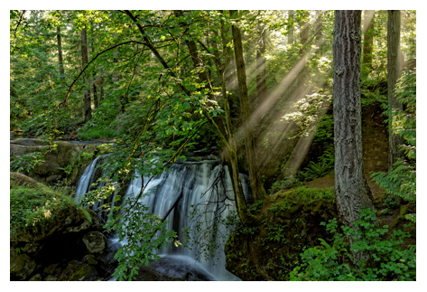 2014-07-01 Washington Bellingham Whatcom Falls -2b