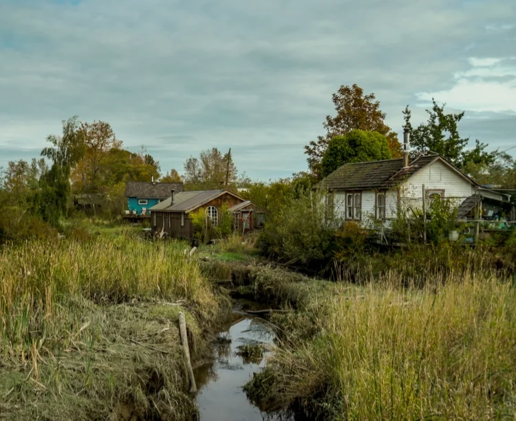 ~~~~The Village at Finn Slough~~~~
