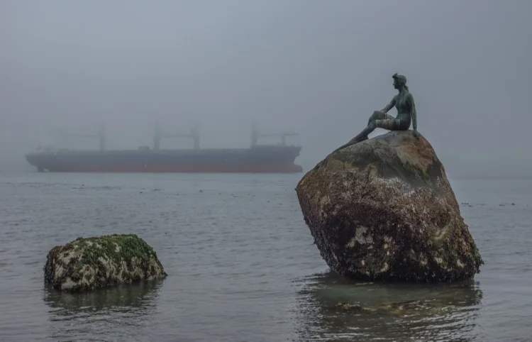 ~~~~Foggy Morning at Brockton Point~~~~