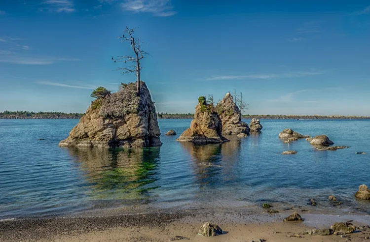 ~~~~Crab Rock~~~~
