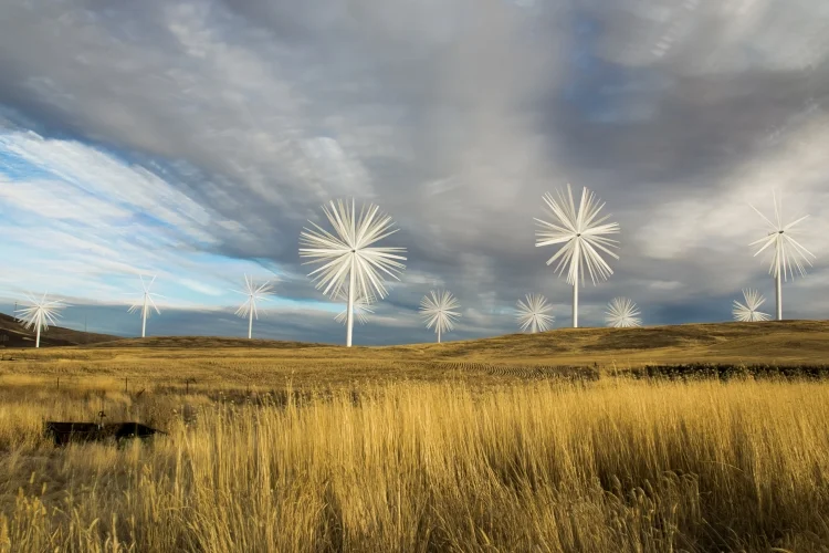 ~~~~Wind~~~~