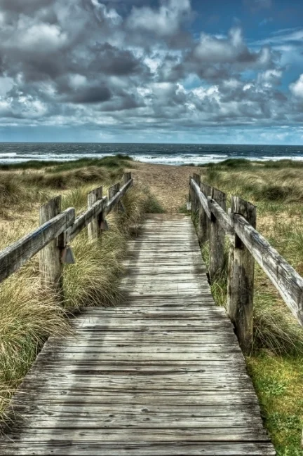 ~~~~Ecola Beach Boardwalk~~~~